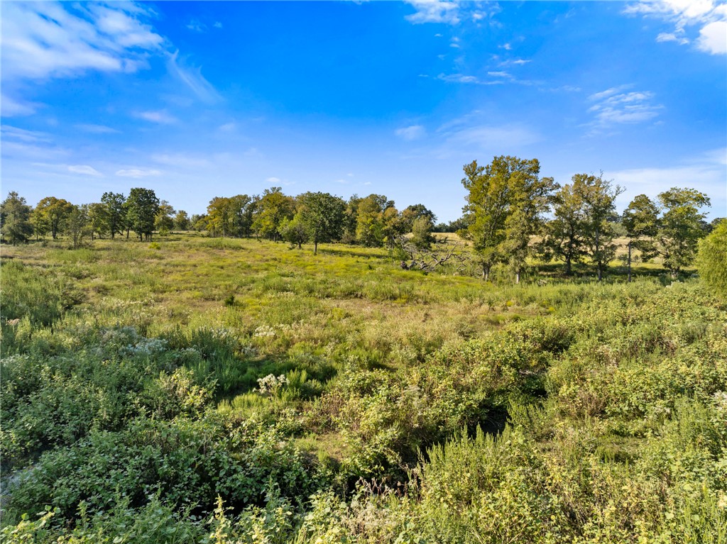 Anderson, Texas, 77830, United States, ,Land,For Sale,1983245