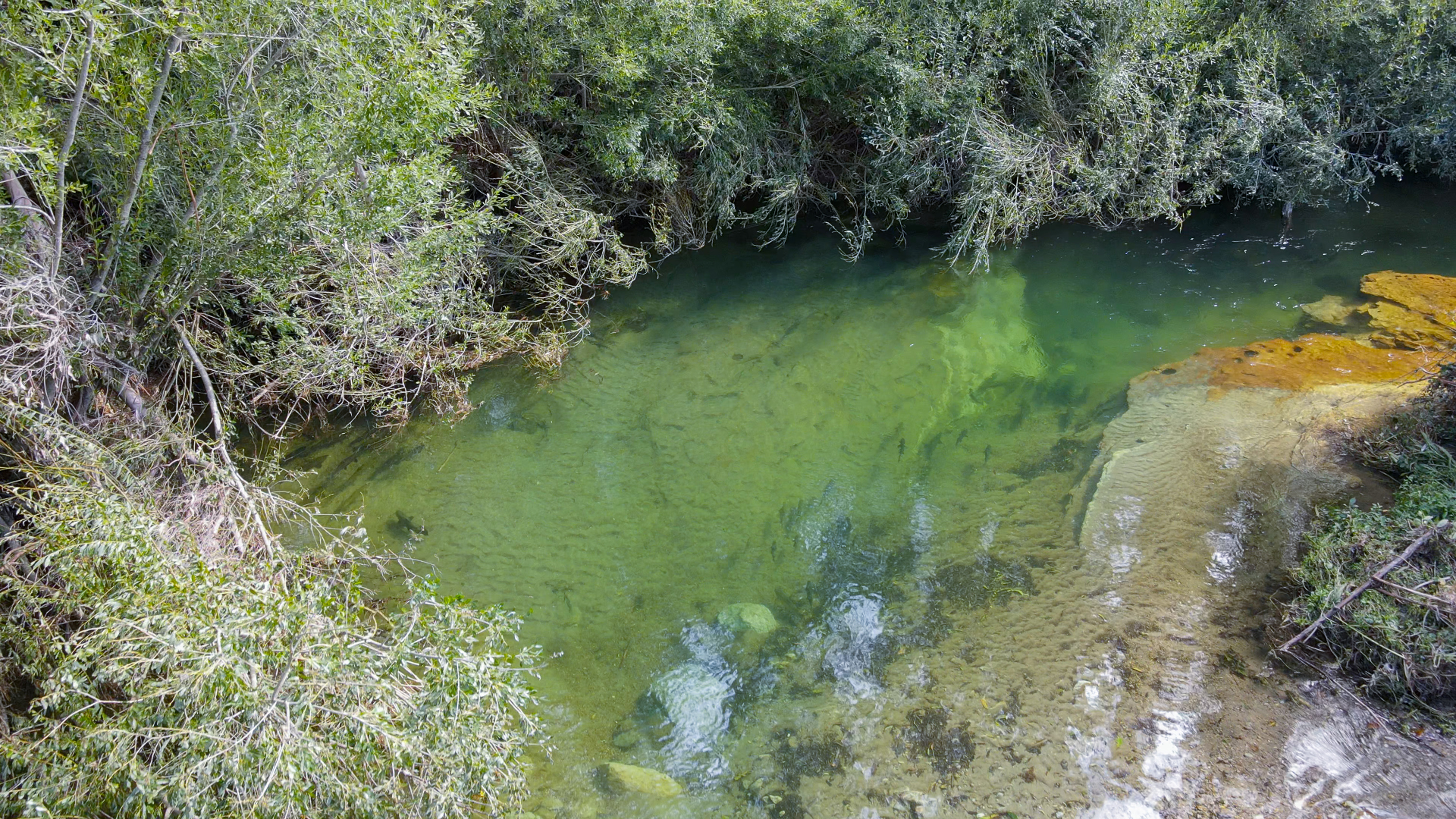  80 Hampson Place, Hamurana - 物件實景