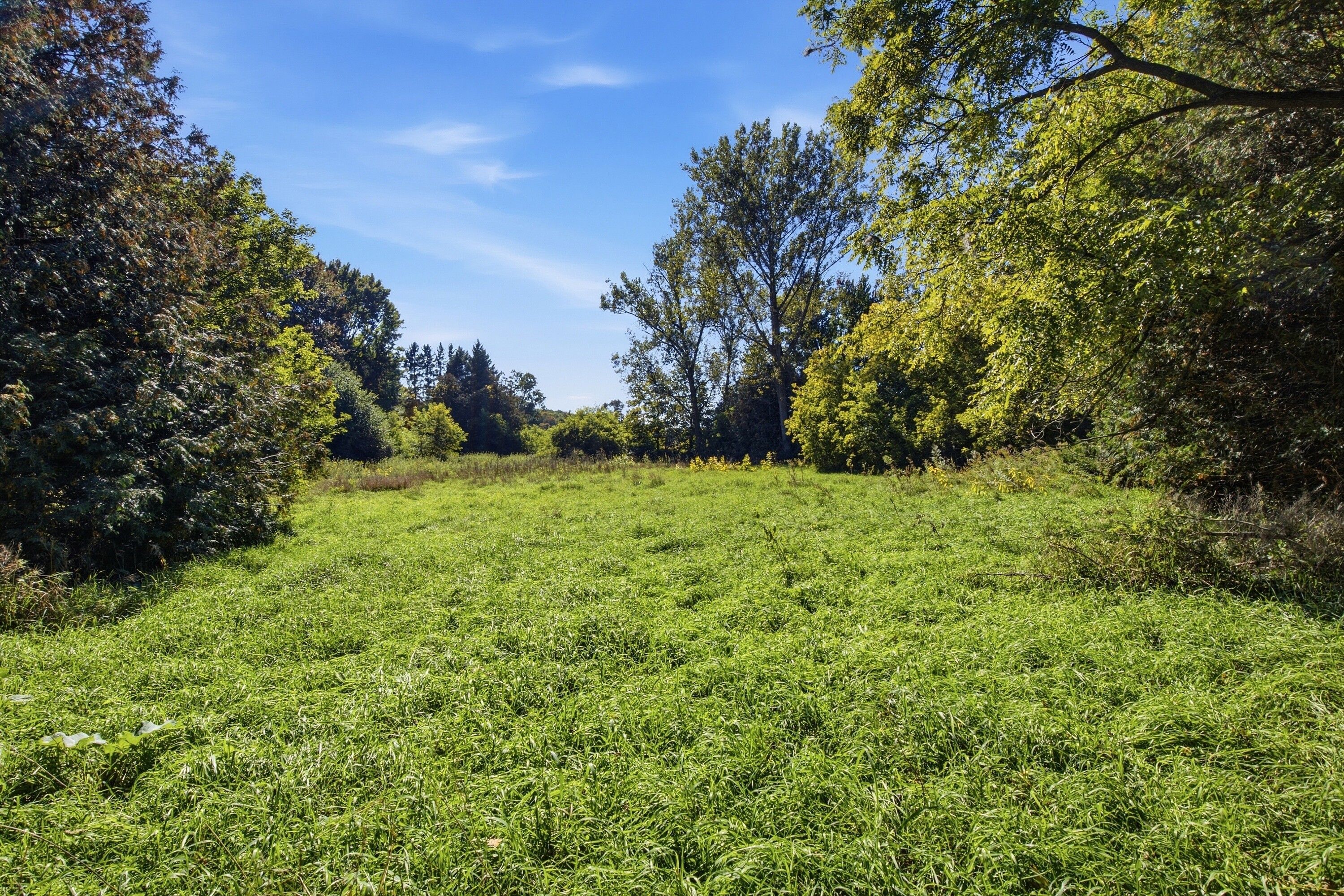  Rural Property - 物件實景