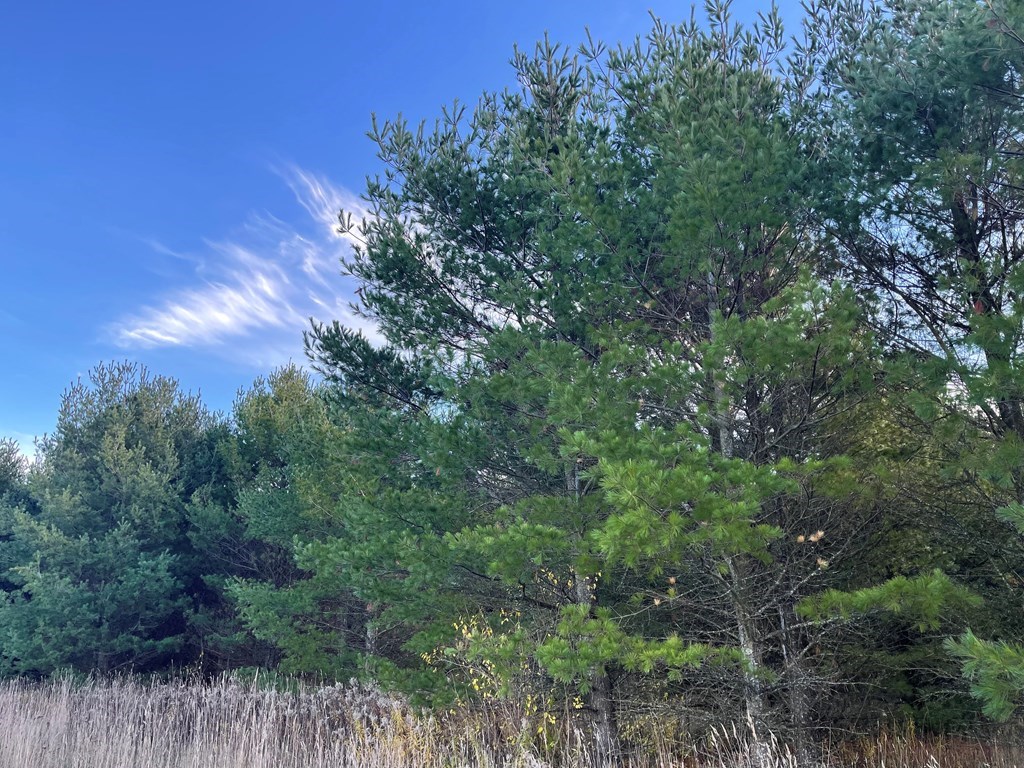 Baileys Harbor, Wisconsin, 54202, United States, ,Land,For Sale,1987517