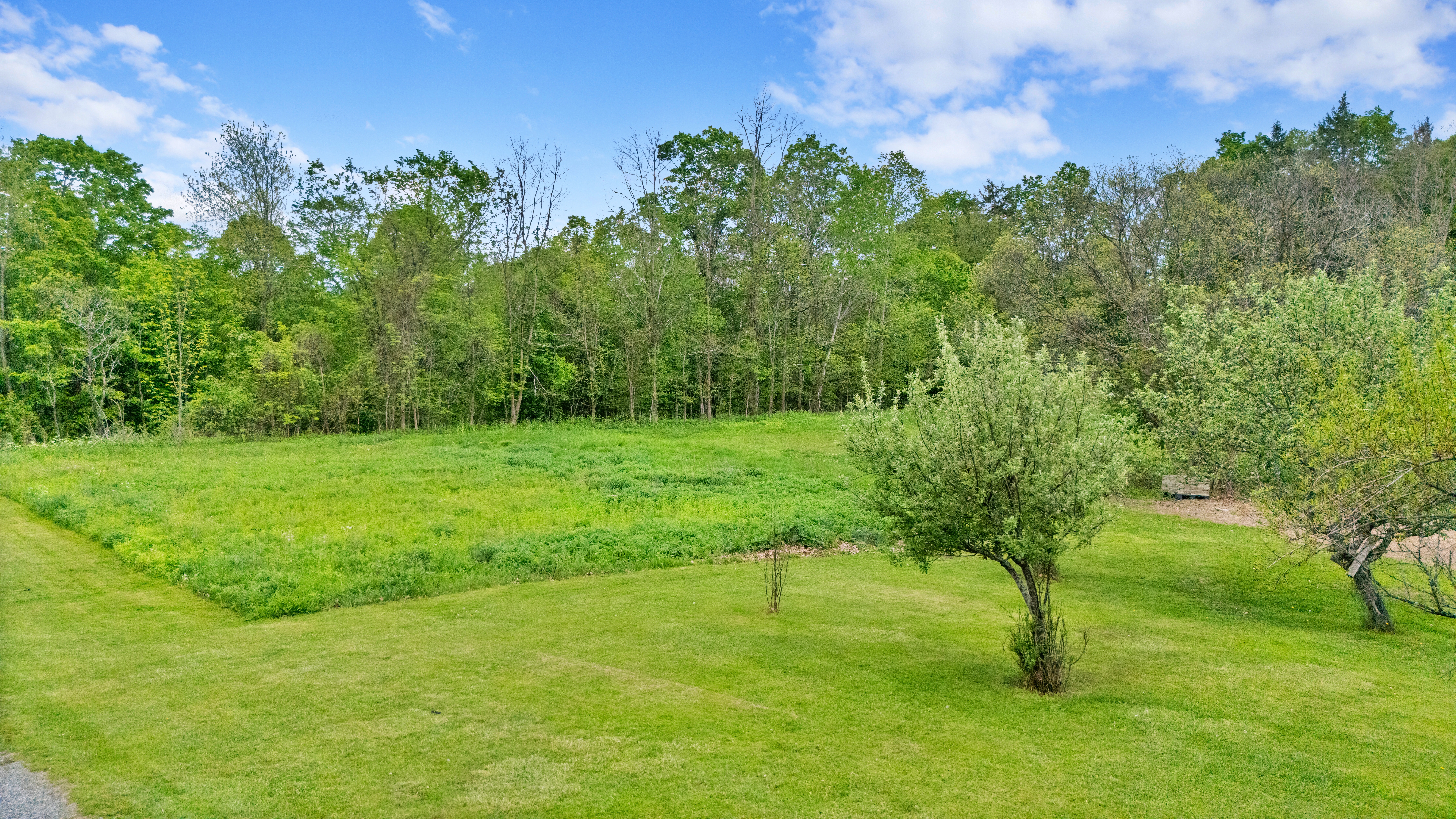  Just One Mile From the Heart of Lenox, Nearly 36 Acres Await Your Next Chapter - 物件實景