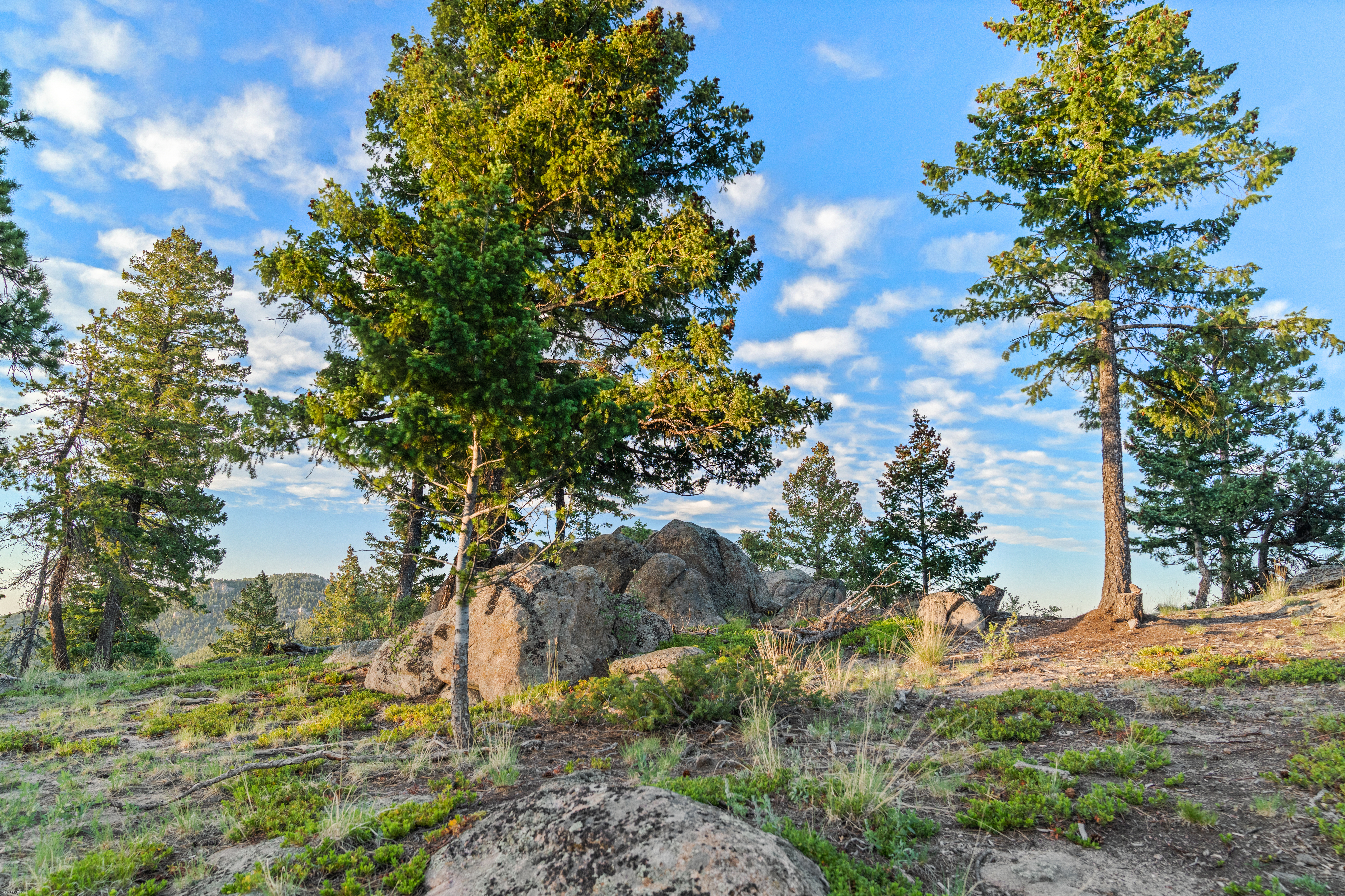  Acreage Available in Evergreen