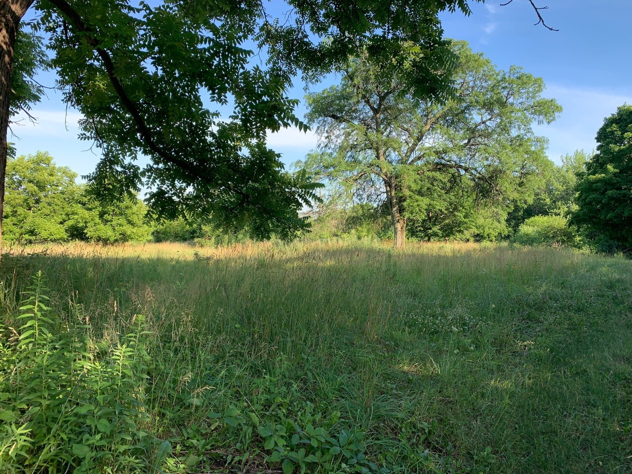 Long Grove, Illinois, 60047, United States, ,Land,For Sale,1794111