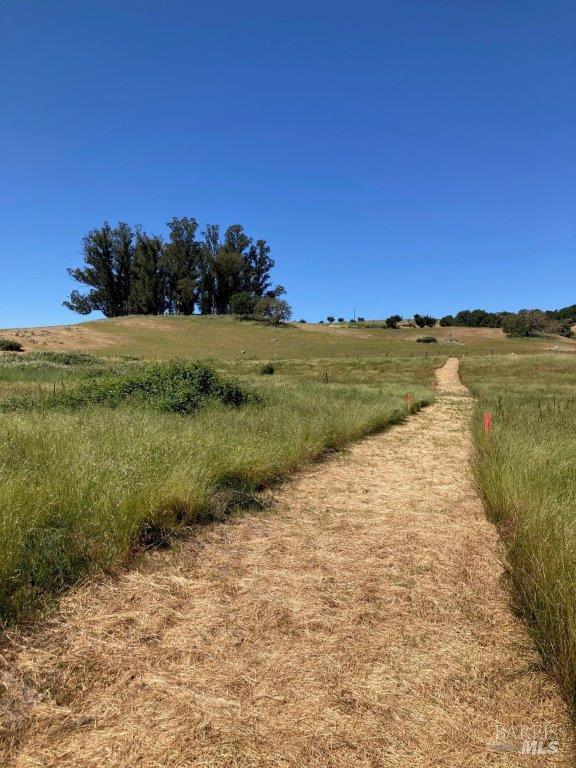 Cotati, California, 94931, United States, ,Residential,For Sale,1909249