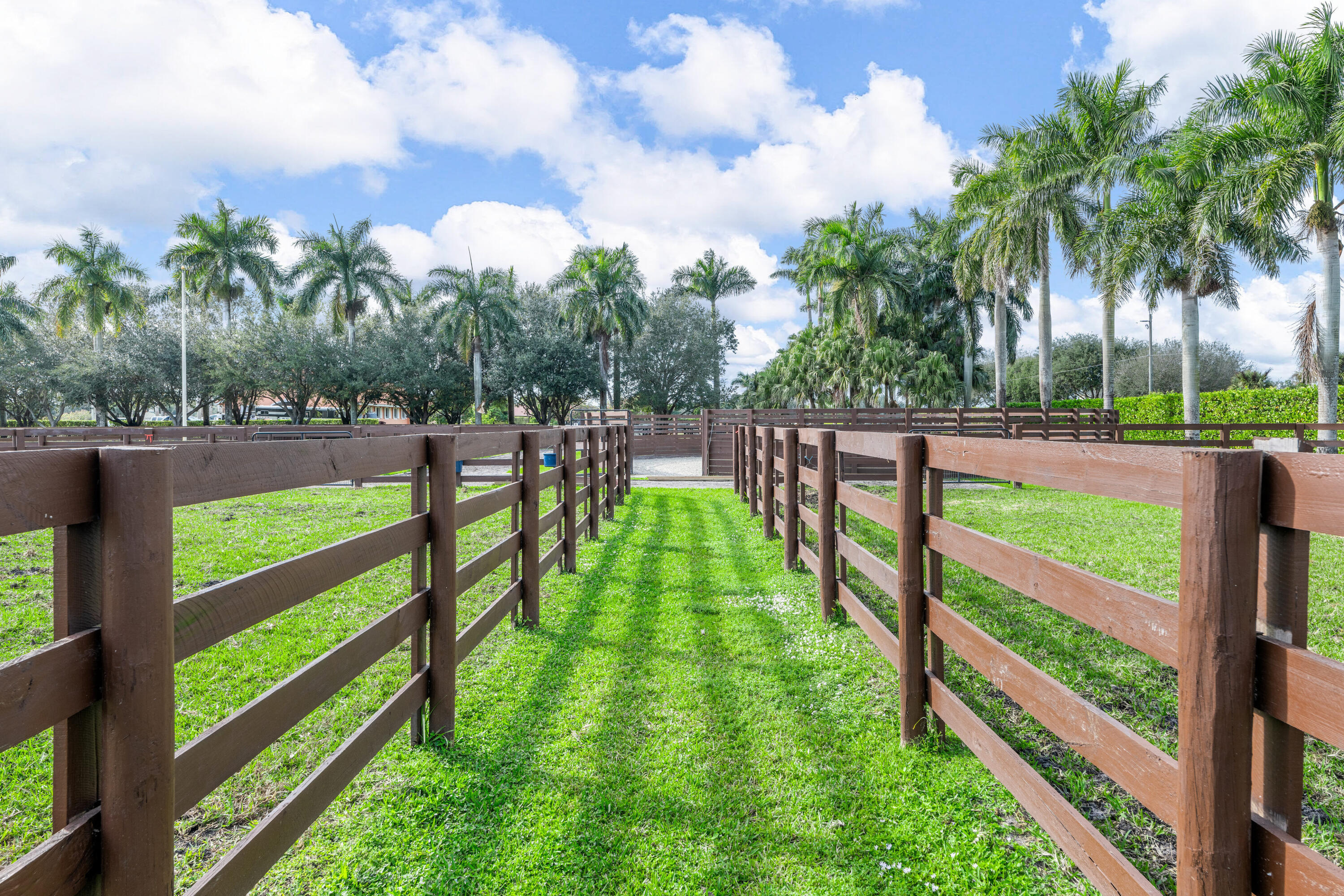  14750 Palm Beach Point Boulevard - 物件實景