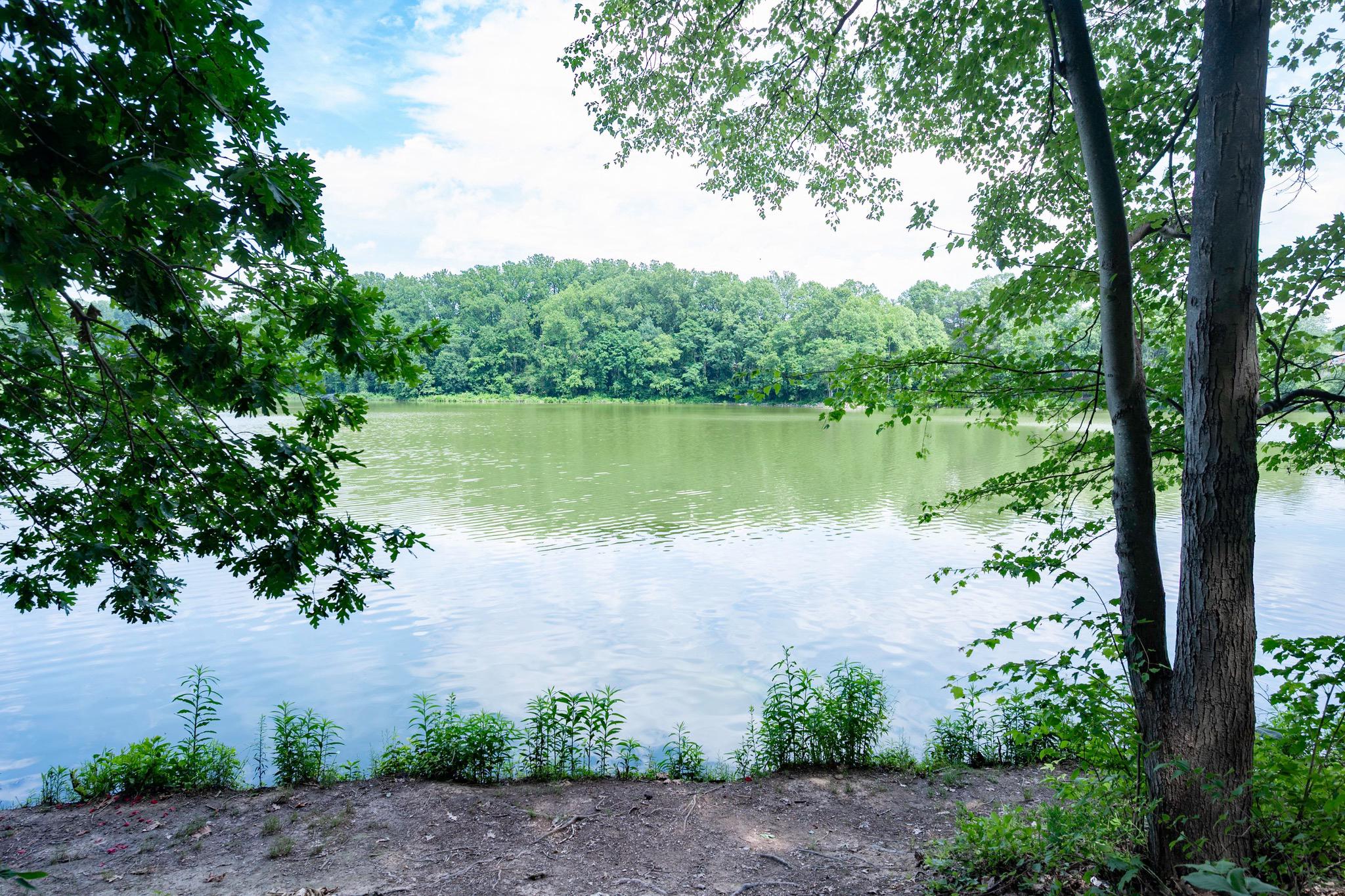  6830 Bluecurl Circle, Springfield, VA, 22152 - 物件實景