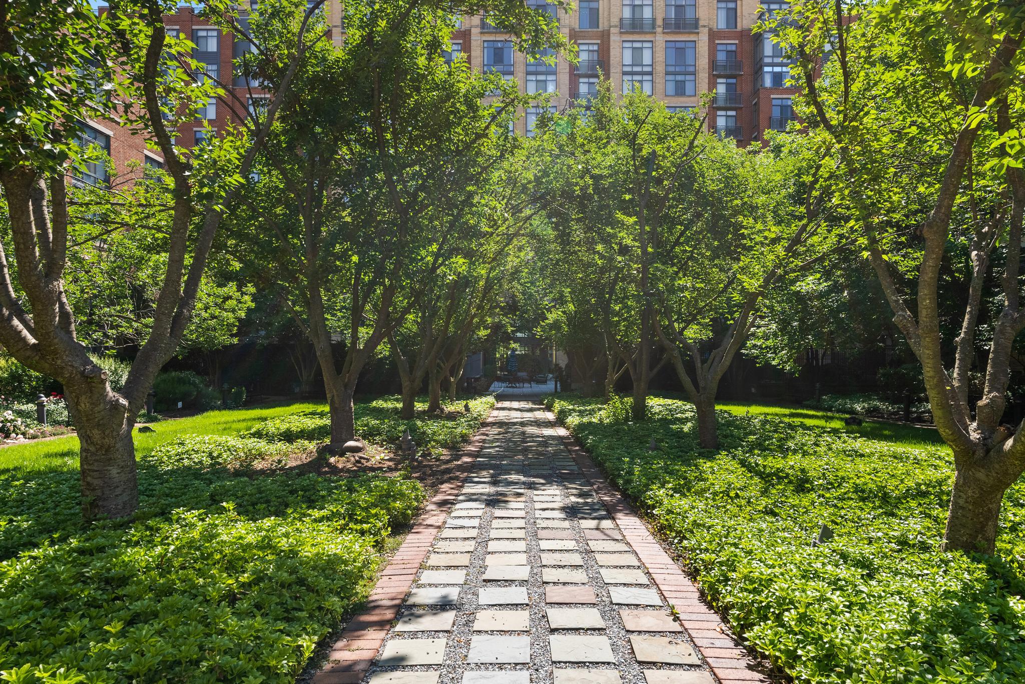  520 John Carlyle Street, Alexandria, VA, 22314 - 物件實景