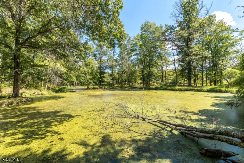 Kingwood Twp., New Jersey, 08867-4402, United States, 4 Bedrooms Bedrooms, ,3 BathroomsBathrooms,Residential,For Sale,1940654