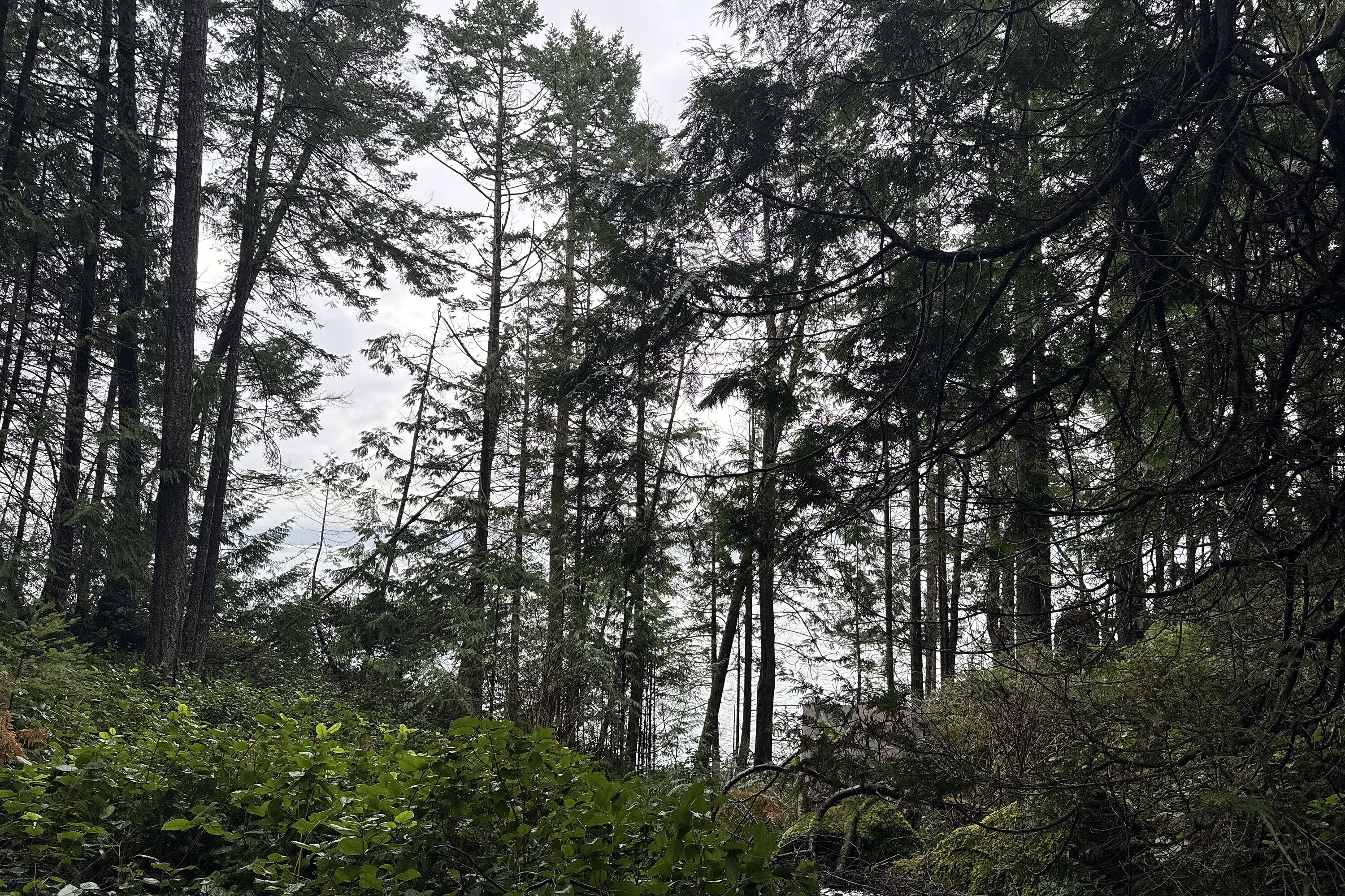 ObjectPhoto23