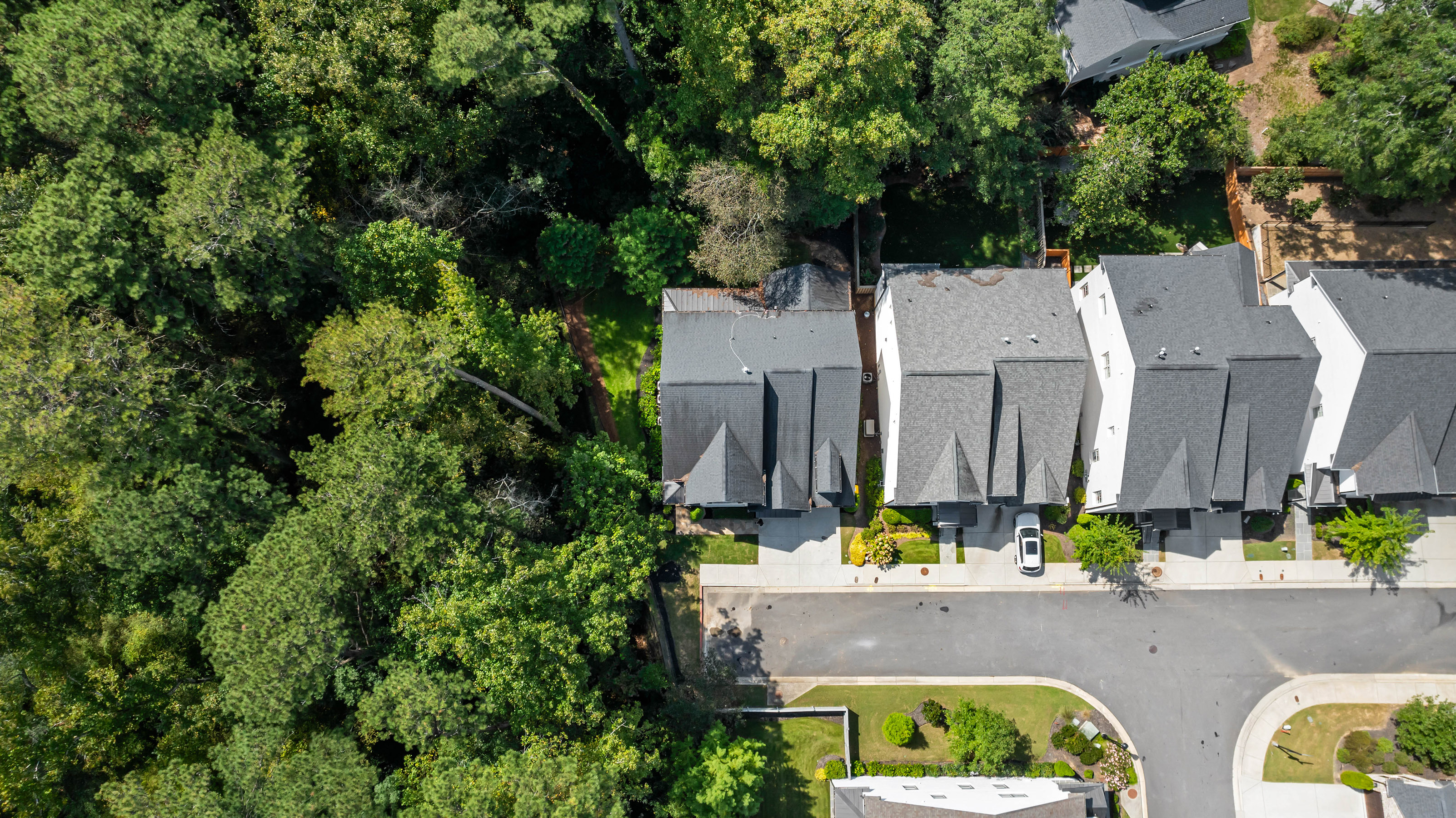  Luxury Brick Home with Dual Primary Suites and Finished Terrace Level - 物件實景