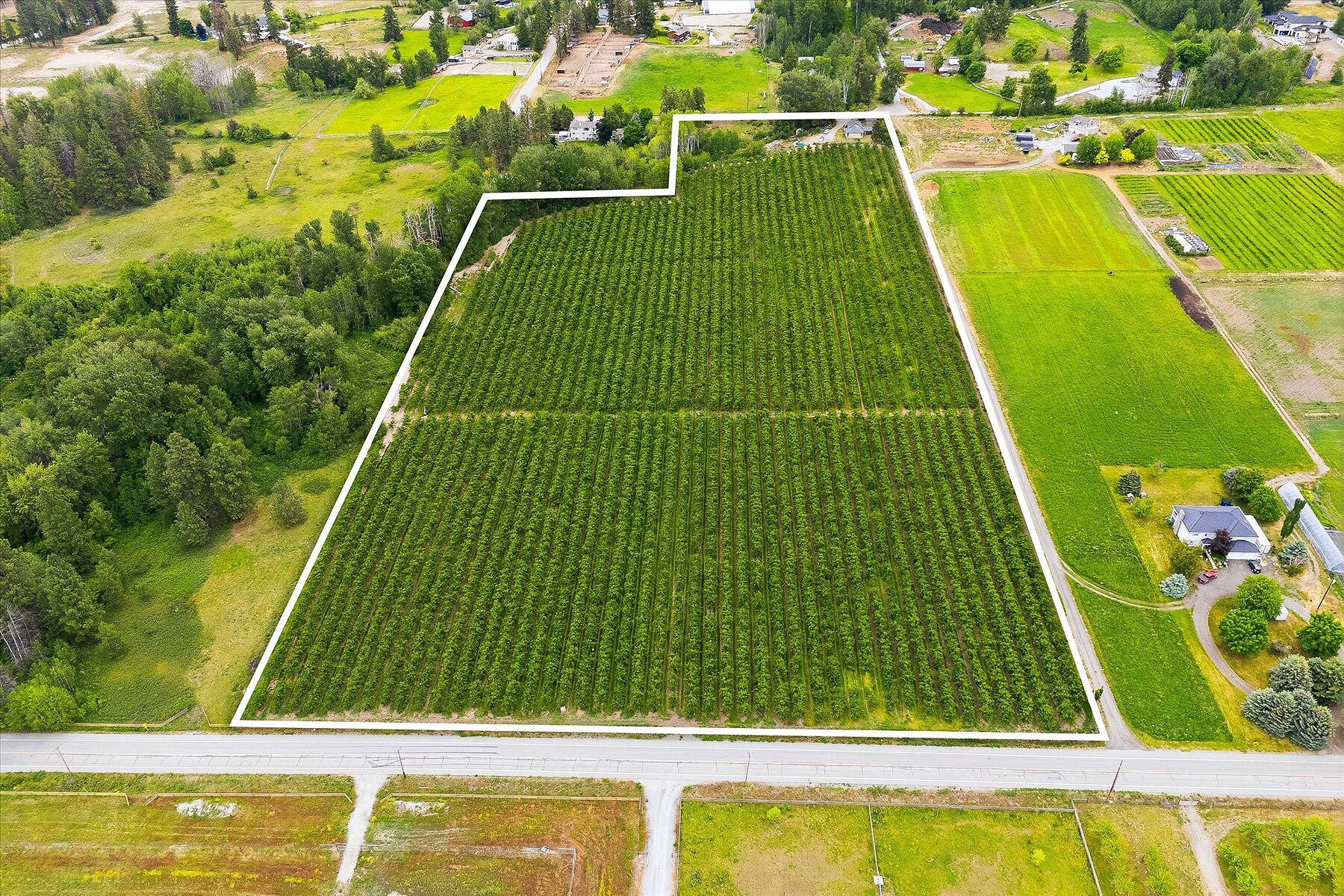  17.66 Acre Cherry Orchard - 物件實景