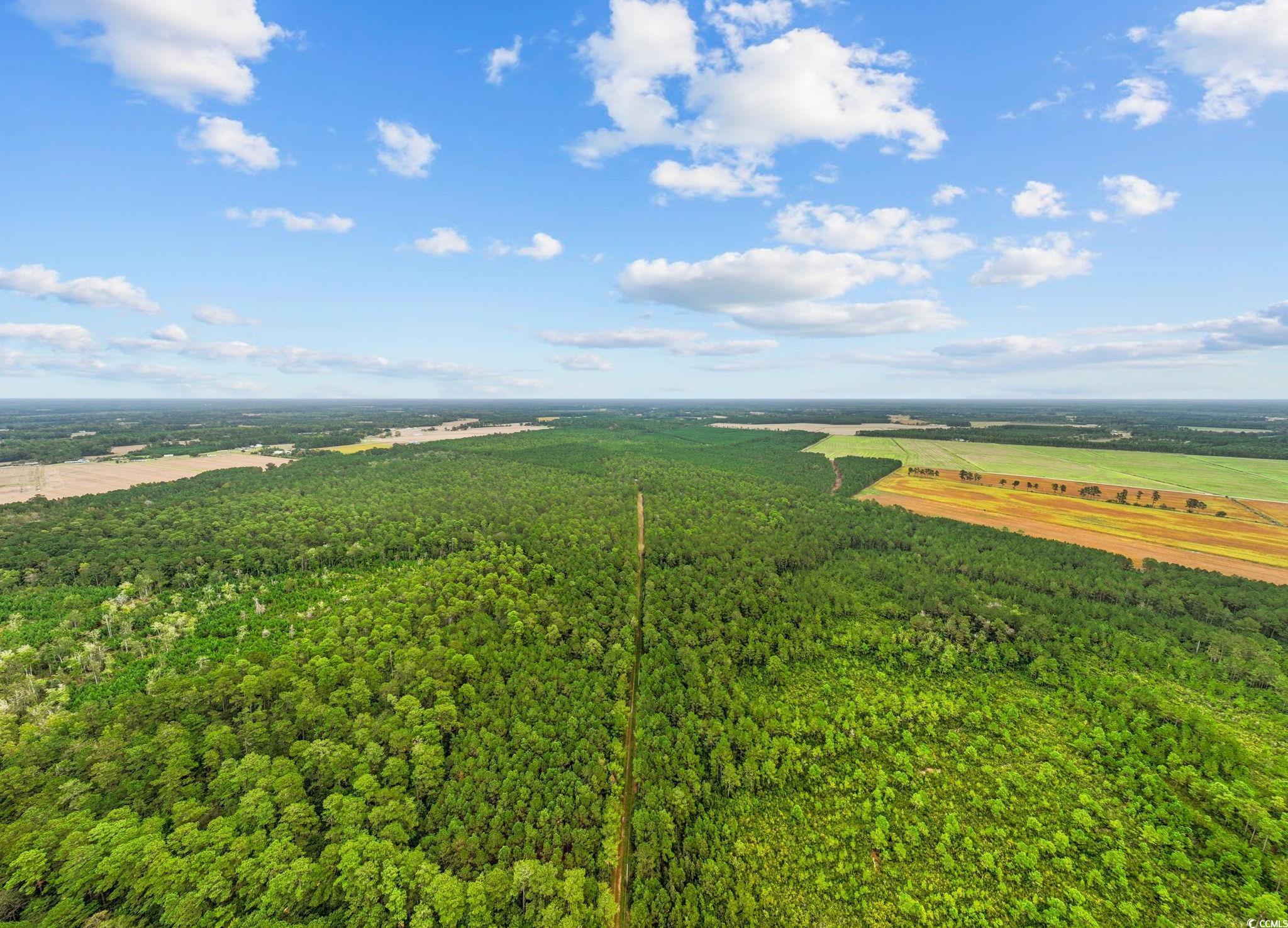 Loris, South Carolina, 29569, United States, ,Land,For Sale,1973987