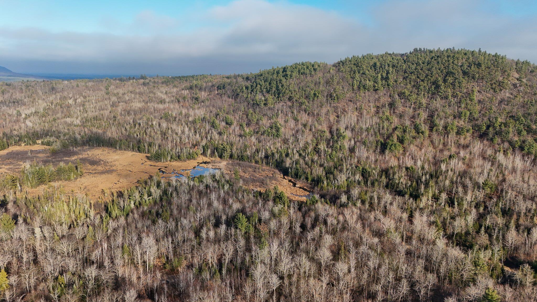 358 Buck Hill Road, Black Brook, New York, 12912, United States, ,Land,For Sale,358 Buck Hill Road,1668250
