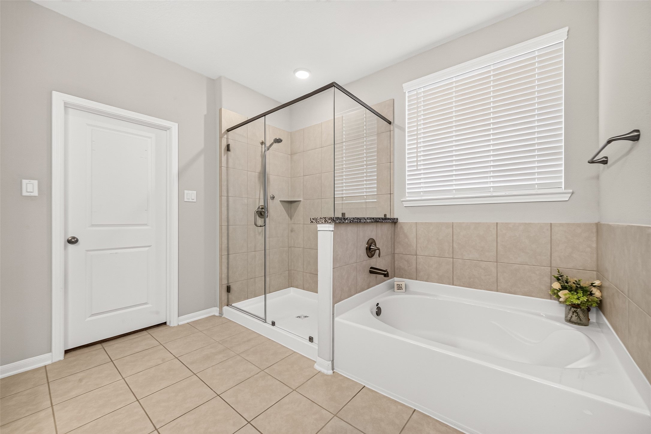 Amador Peak Dr, Rosharon, TX 77583 #1