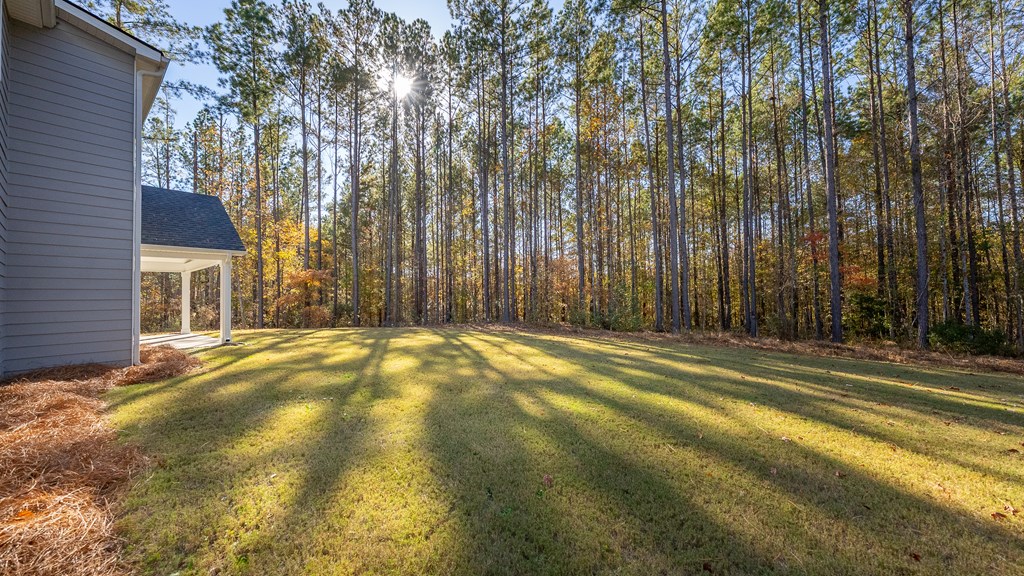 Fortson, Georgia, 31808, United States, 5 Bedrooms Bedrooms, ,5 BathroomsBathrooms,Residential,For Sale,1996053