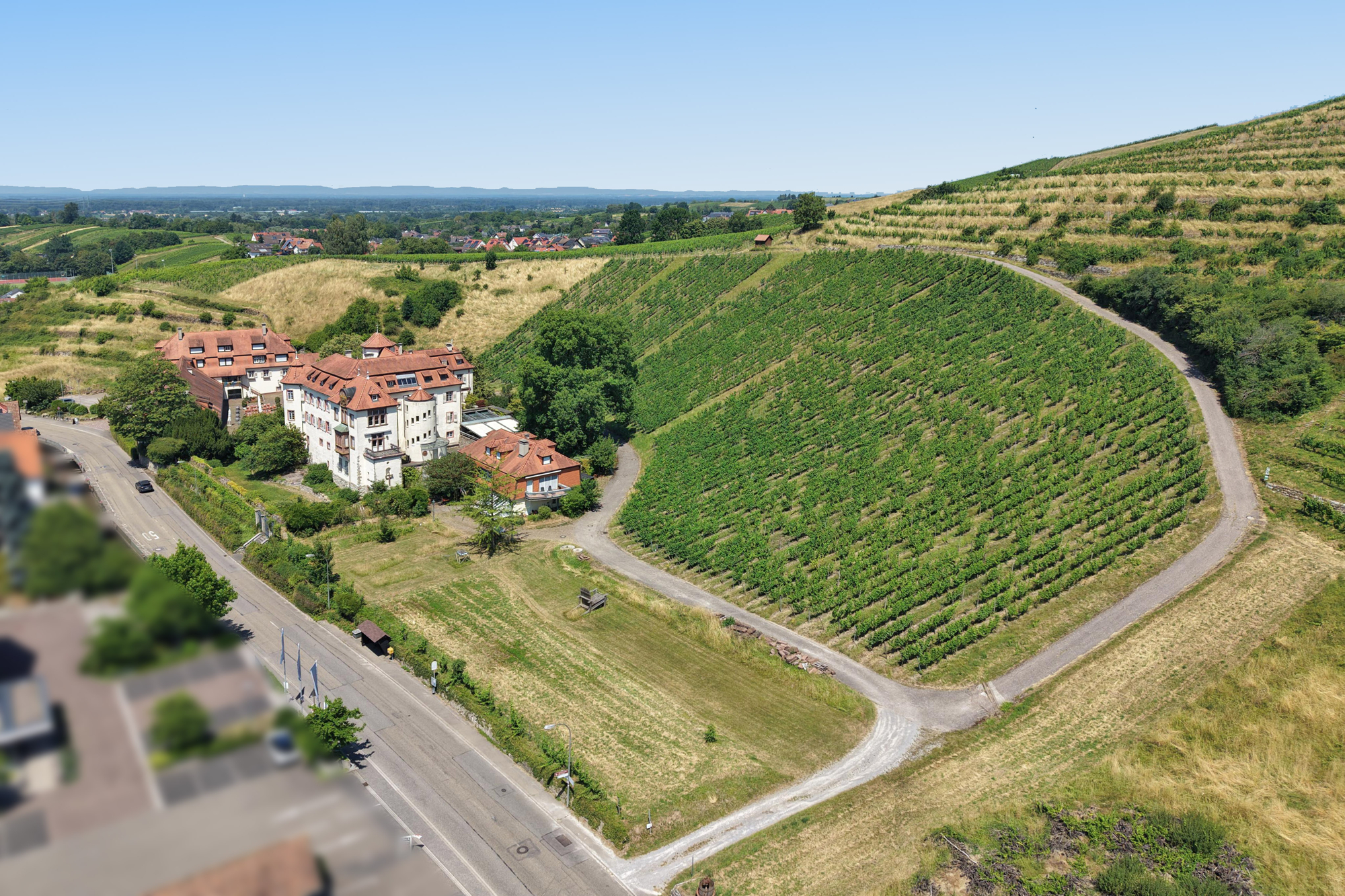  Neuweier Castle - Living and Working on a Historic Winery Estate - 物件實景