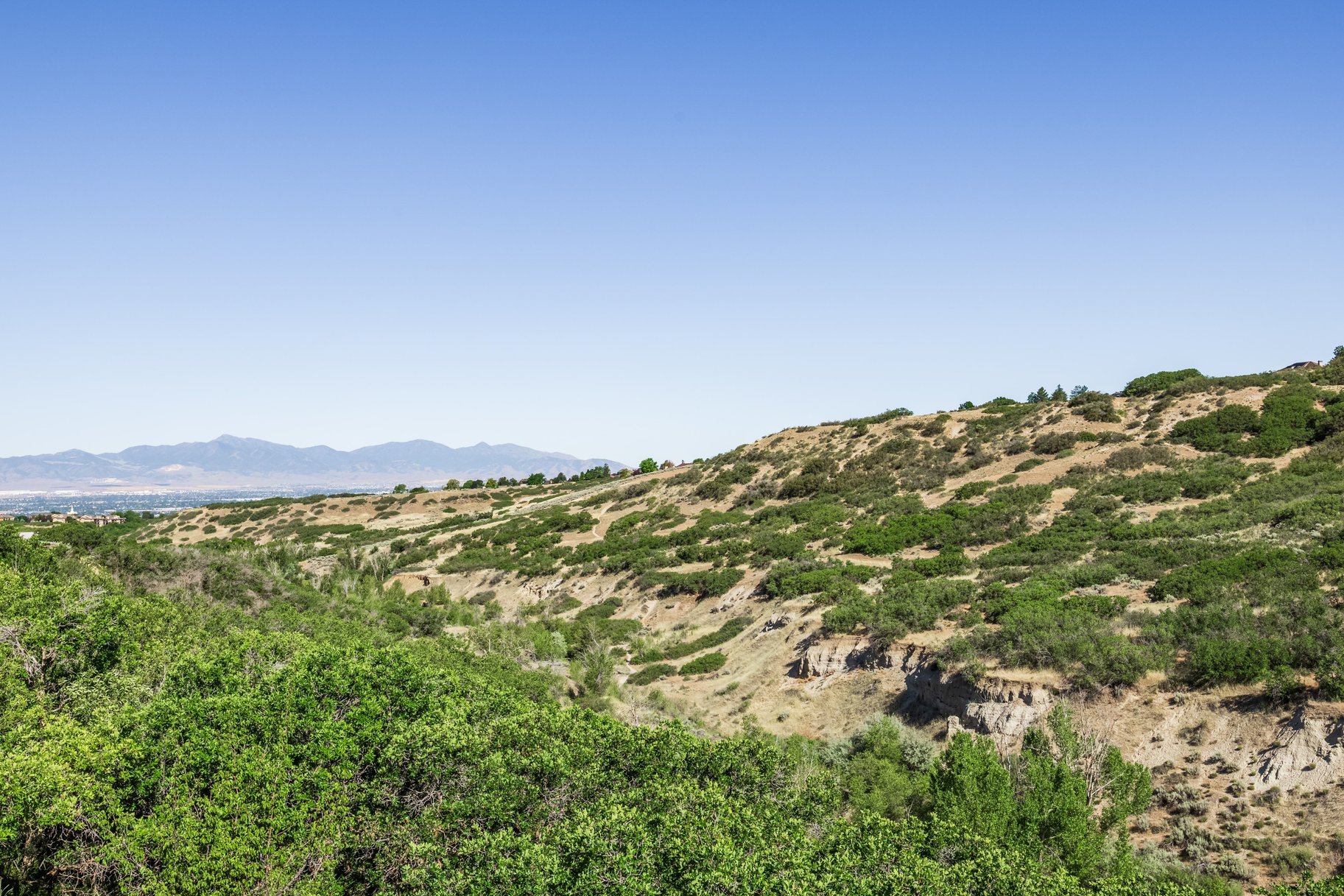  Horse Property Backing Up to Dimple Dell Park - 物件實景
