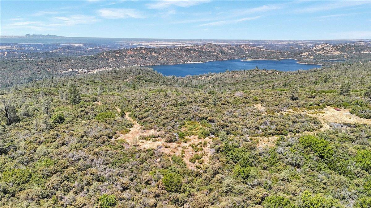 Oregon House, California, 95962, United States, ,Land,For Sale,1975767