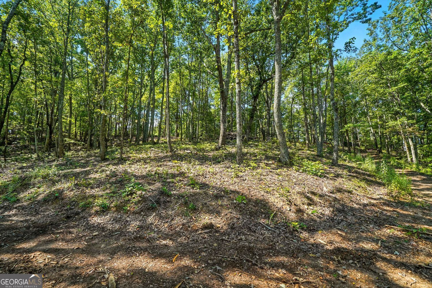 Waleska, Georgia, 30183, United States, ,Land,For Sale,1929808