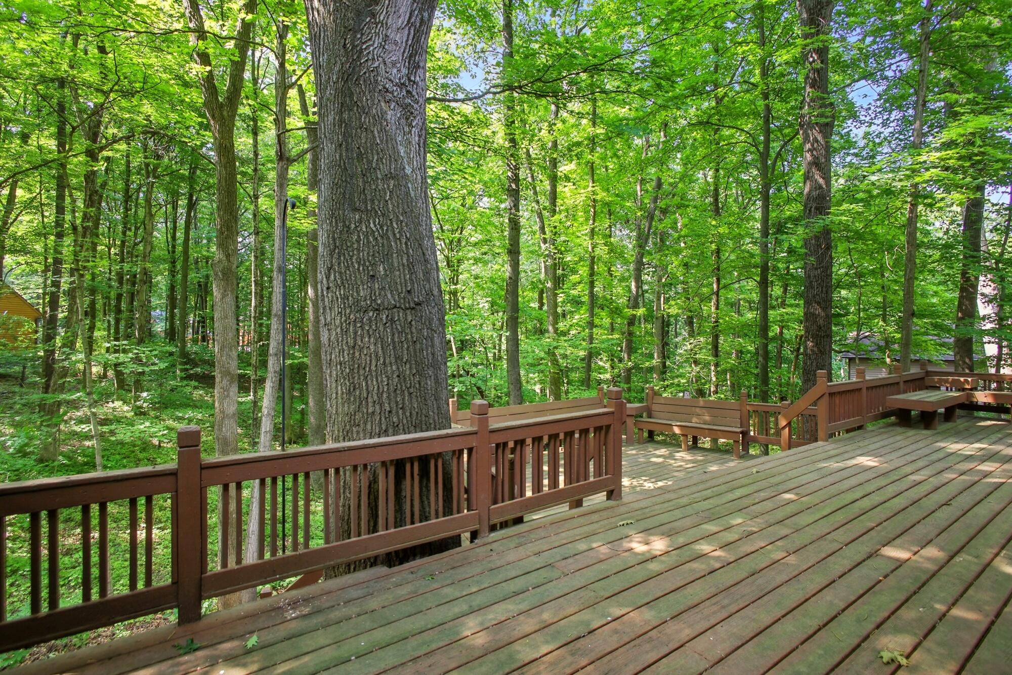 Springfield, Ohio, 45504, United States, 4 Bedrooms Bedrooms, ,3 BathroomsBathrooms,Residential,For Sale,1927340