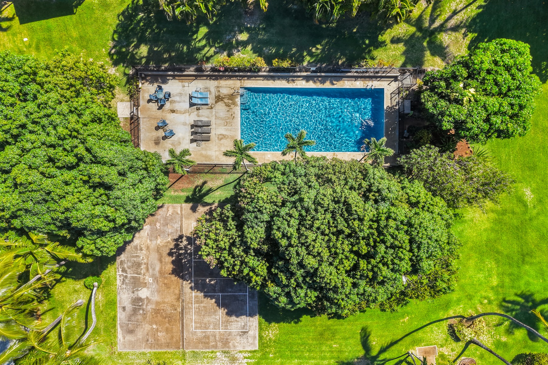  Oceanfront Living - 物件實景