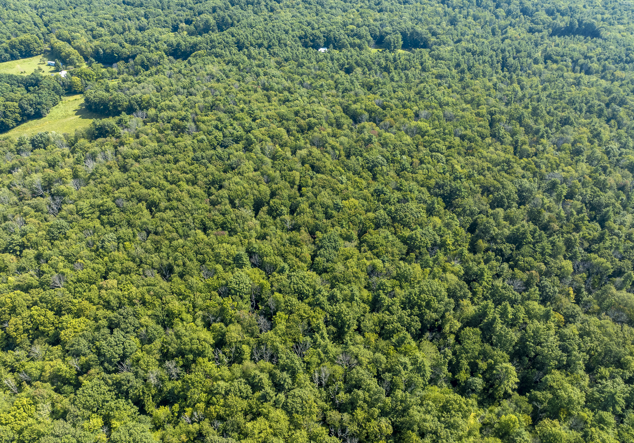  1,180+ Feet of Frontage: Privacy & Seclusion within Easy Reach of the Berkshires - 物件實景