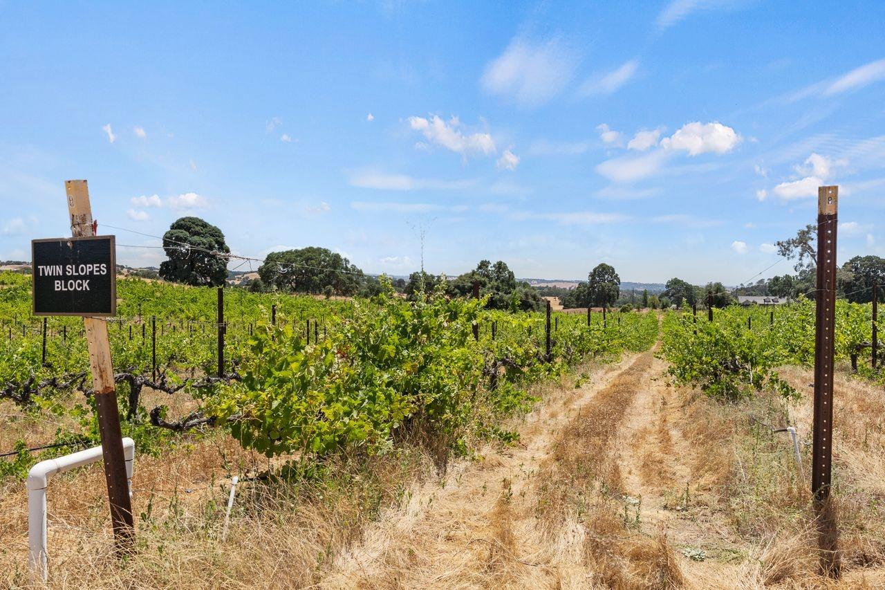 21226 Dickson Road, Plymouth, California, 95669, United States, ,Land,For Sale,21226 Dickson Road,1672447