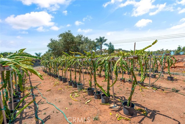 Fallbrook, California, 92028, United States, 2 Bedrooms Bedrooms, ,3 BathroomsBathrooms,Residential,For Sale,1979251