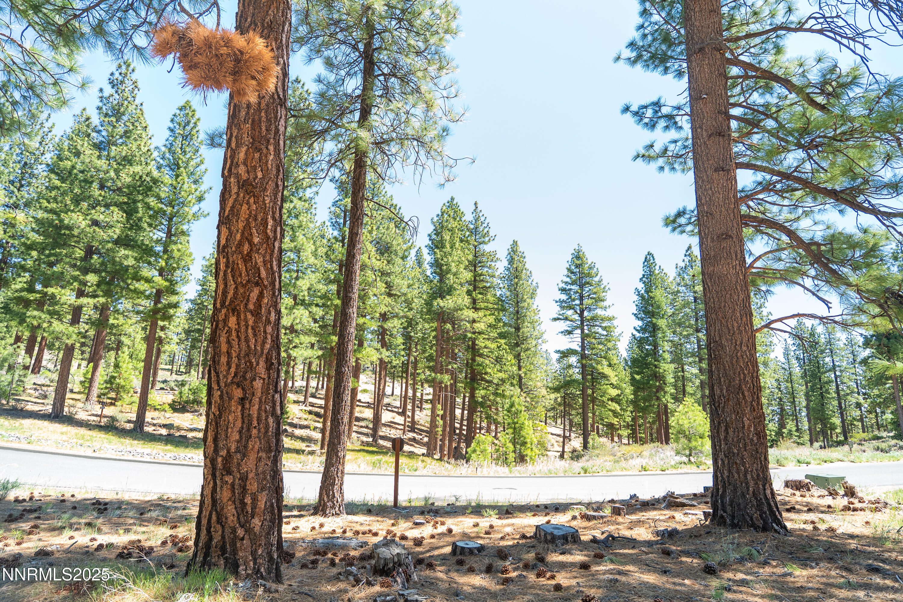 Carson City, Nevada, 89705, United States, ,Land,For Sale,1848376