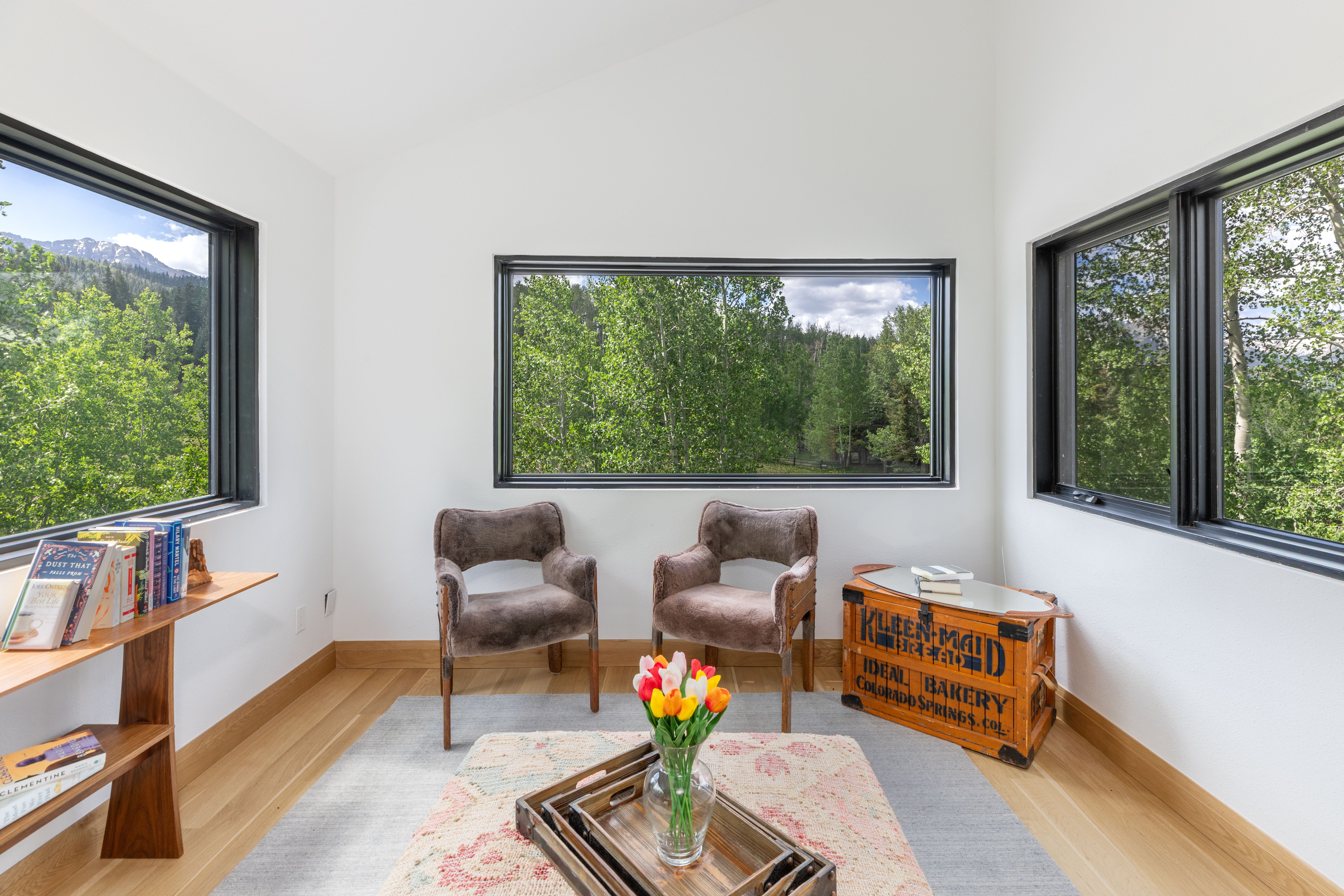  Secluded 4 Bed / 4 Bath Telluride Property - 物件實景