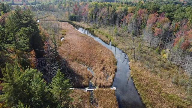 Branch, Michigan, 49402, United States, 5 Bedrooms Bedrooms, ,4 BathroomsBathrooms,Residential,For Sale,1986273