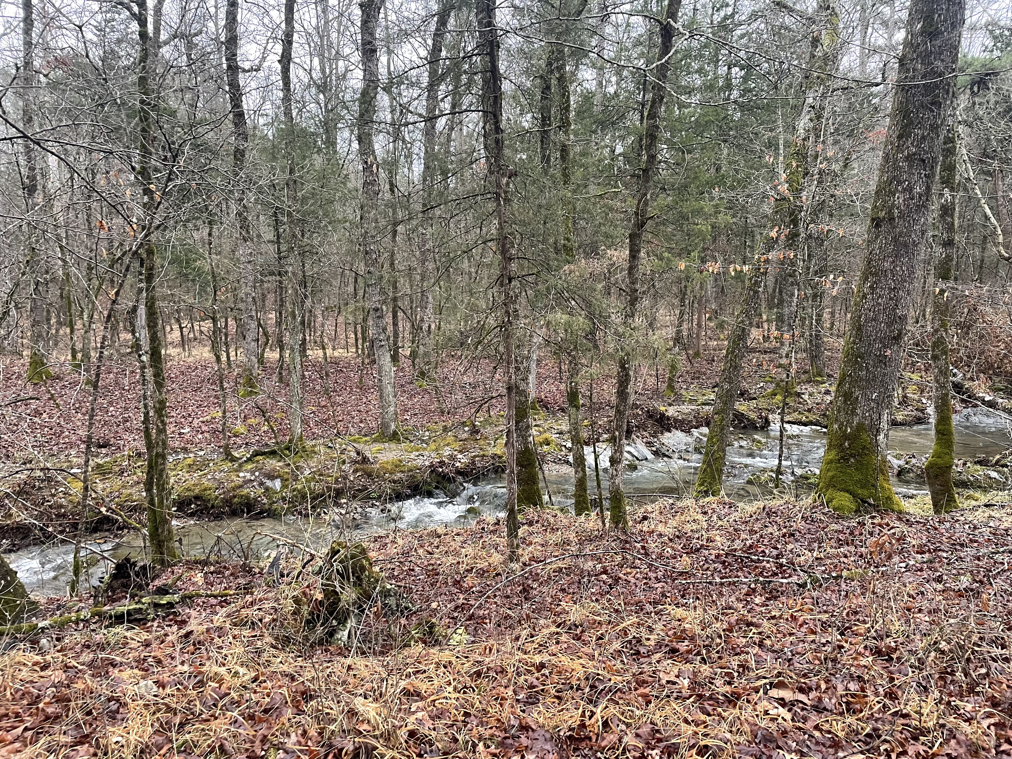 Mena, Arkansas, 71953, United States, 3 Bedrooms Bedrooms, ,3 BathroomsBathrooms,Residential,For Sale,1979119