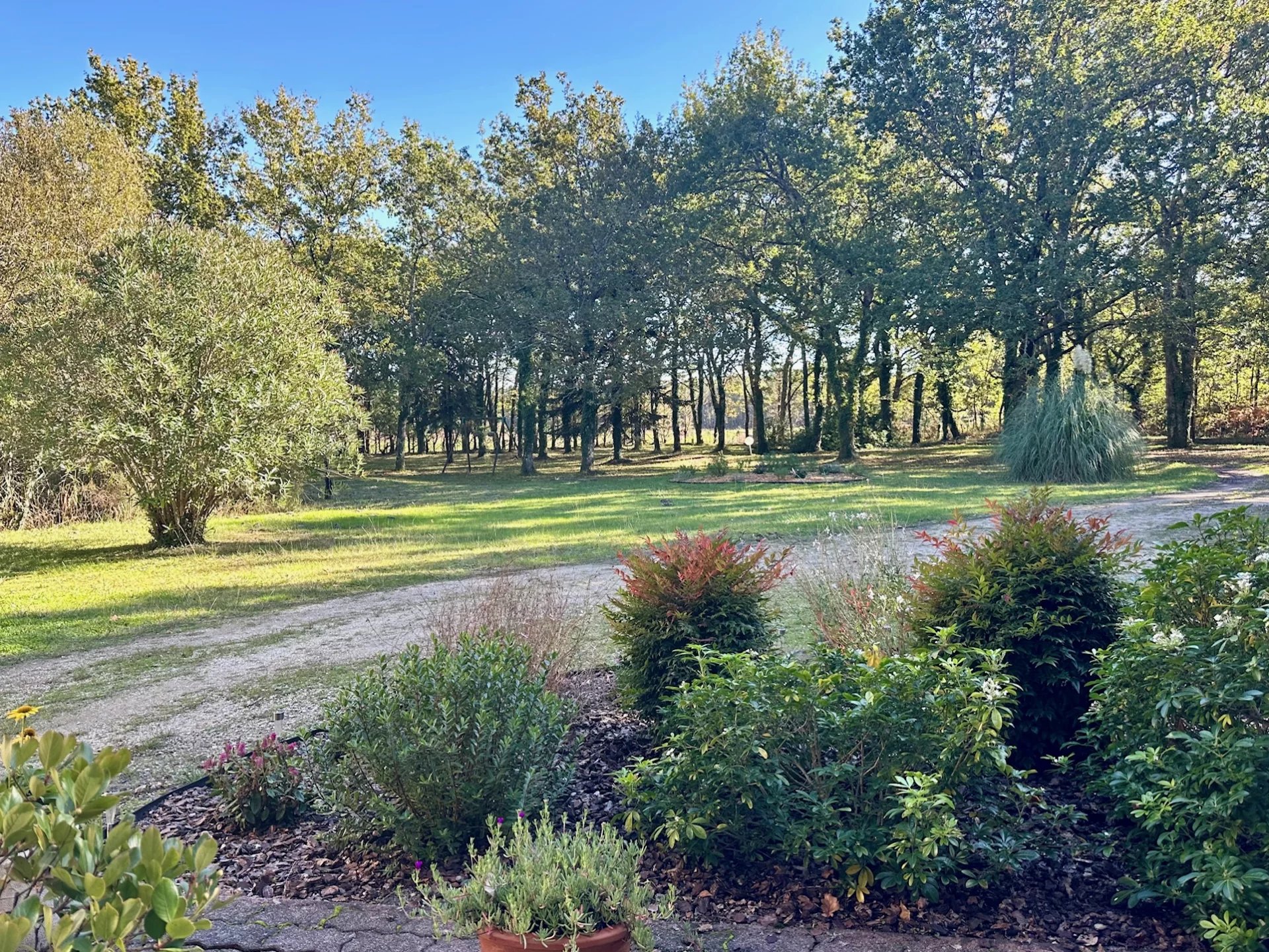 Lesparre-Médoc, New Aquitaine, 33340, FR, 10 Bedrooms Bedrooms, ,7 BathroomsBathrooms,Residential,For Sale,1995766