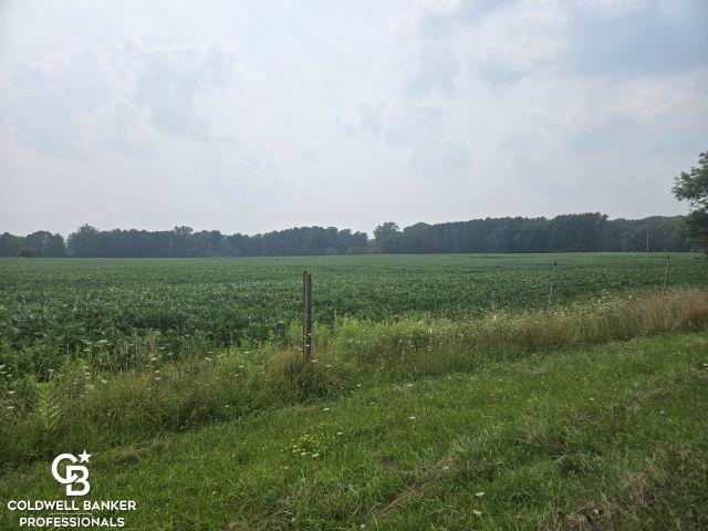 Emmett, Michigan, 48022, United States, 3 Bedrooms Bedrooms, ,1 BathroomBathrooms,Residential,For Sale,1927063