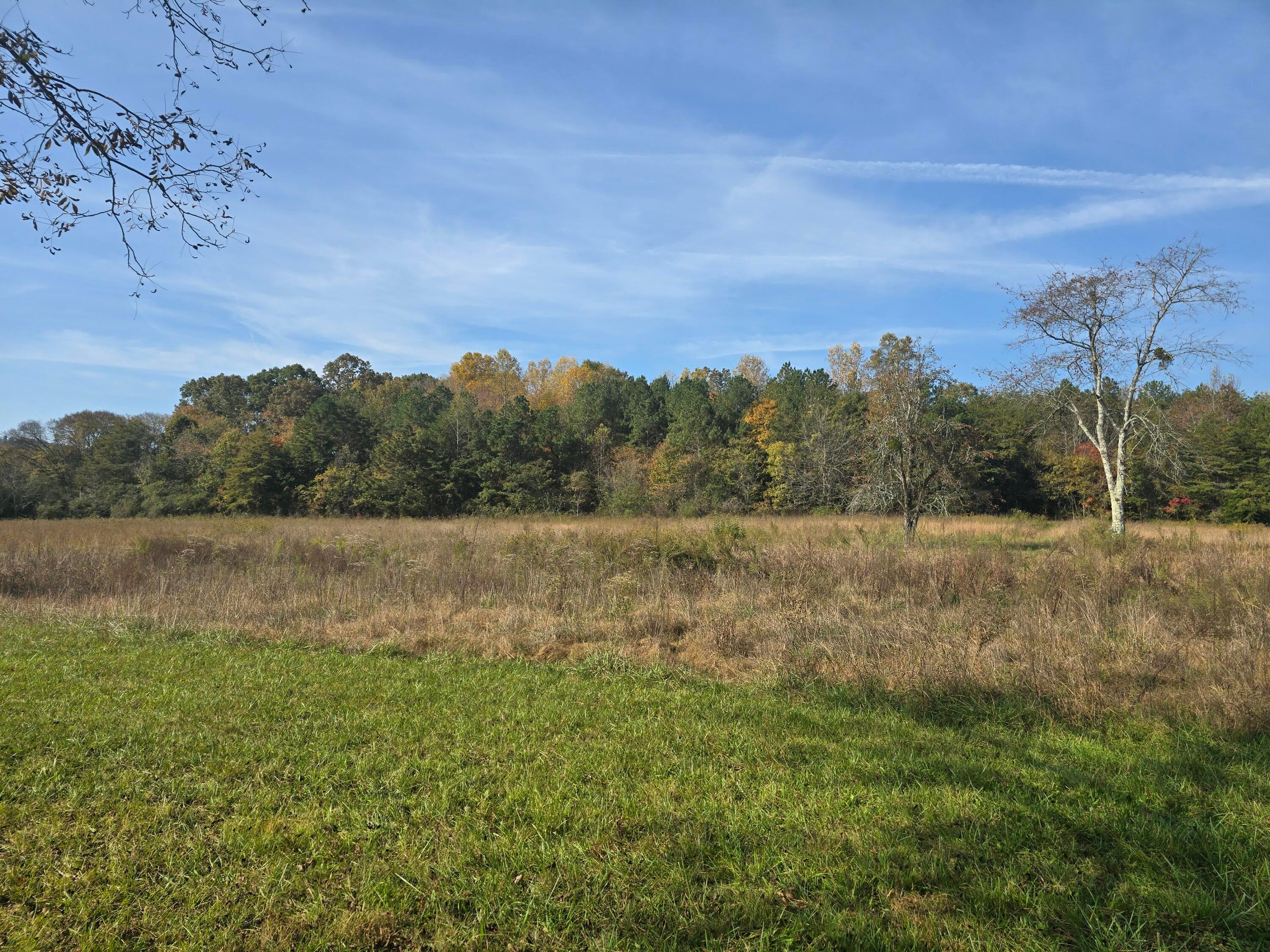 1379 Sand Mountain Road, Ocoee, Tennessee, 37361, United States, ,Residential,For Sale,1379 Sand Mountain Road,1649302