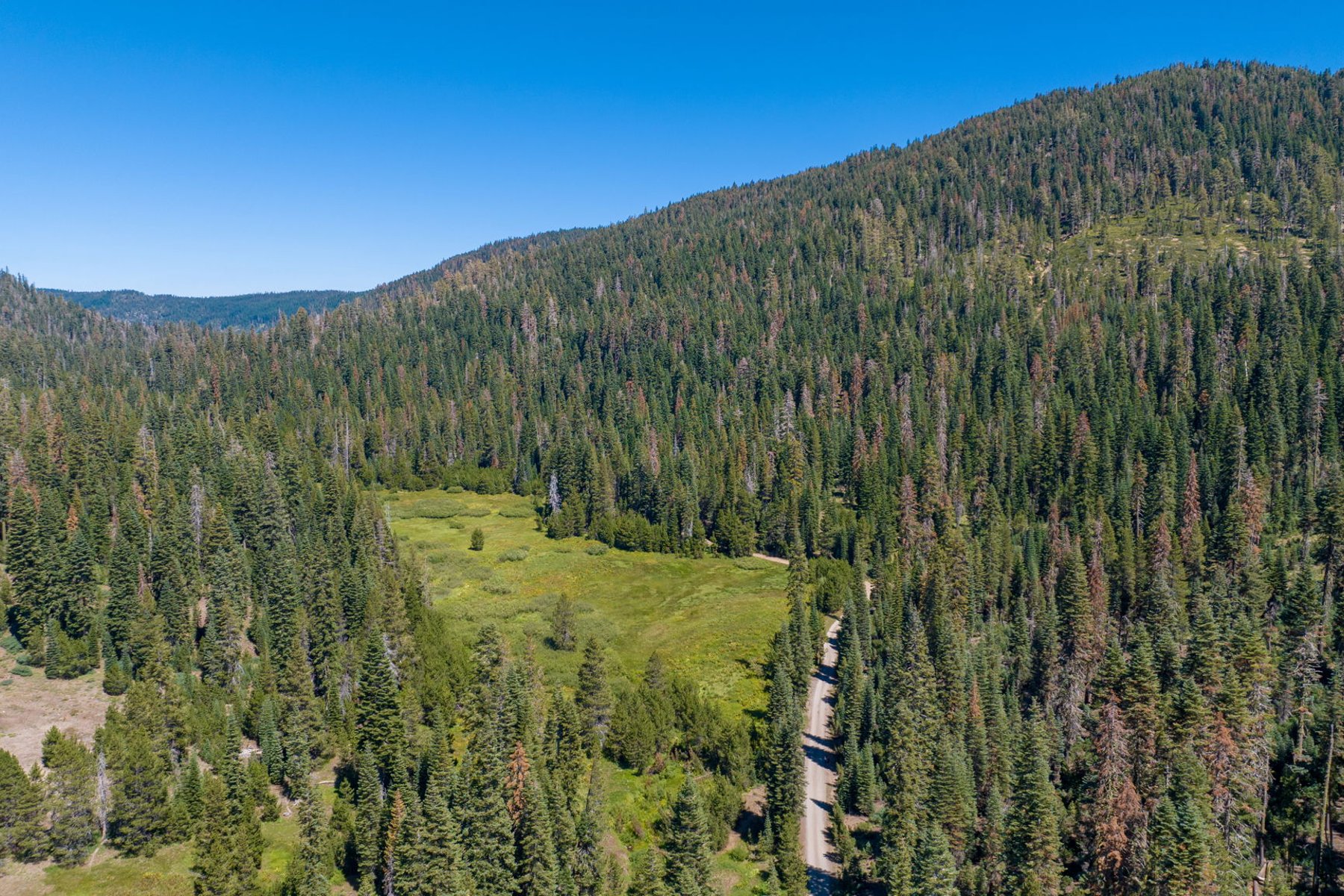  80 Acres of Pristine Land in the Middle of Plumas Eureka State Park - 物件實景