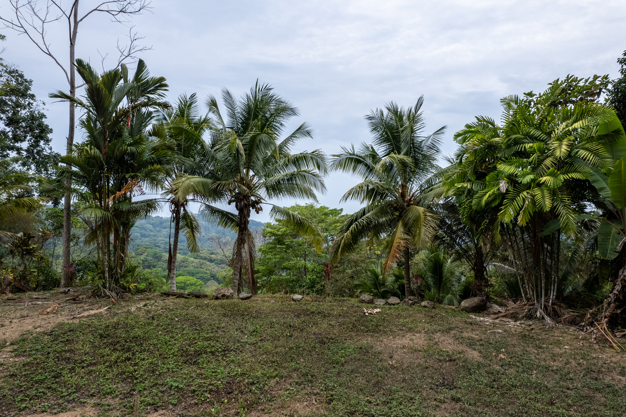Lagunas, Dominical, Puntarenas, CR, 2 Bedrooms Bedrooms, ,1 BathroomBathrooms,Land,For Sale,Lagunas,1589118