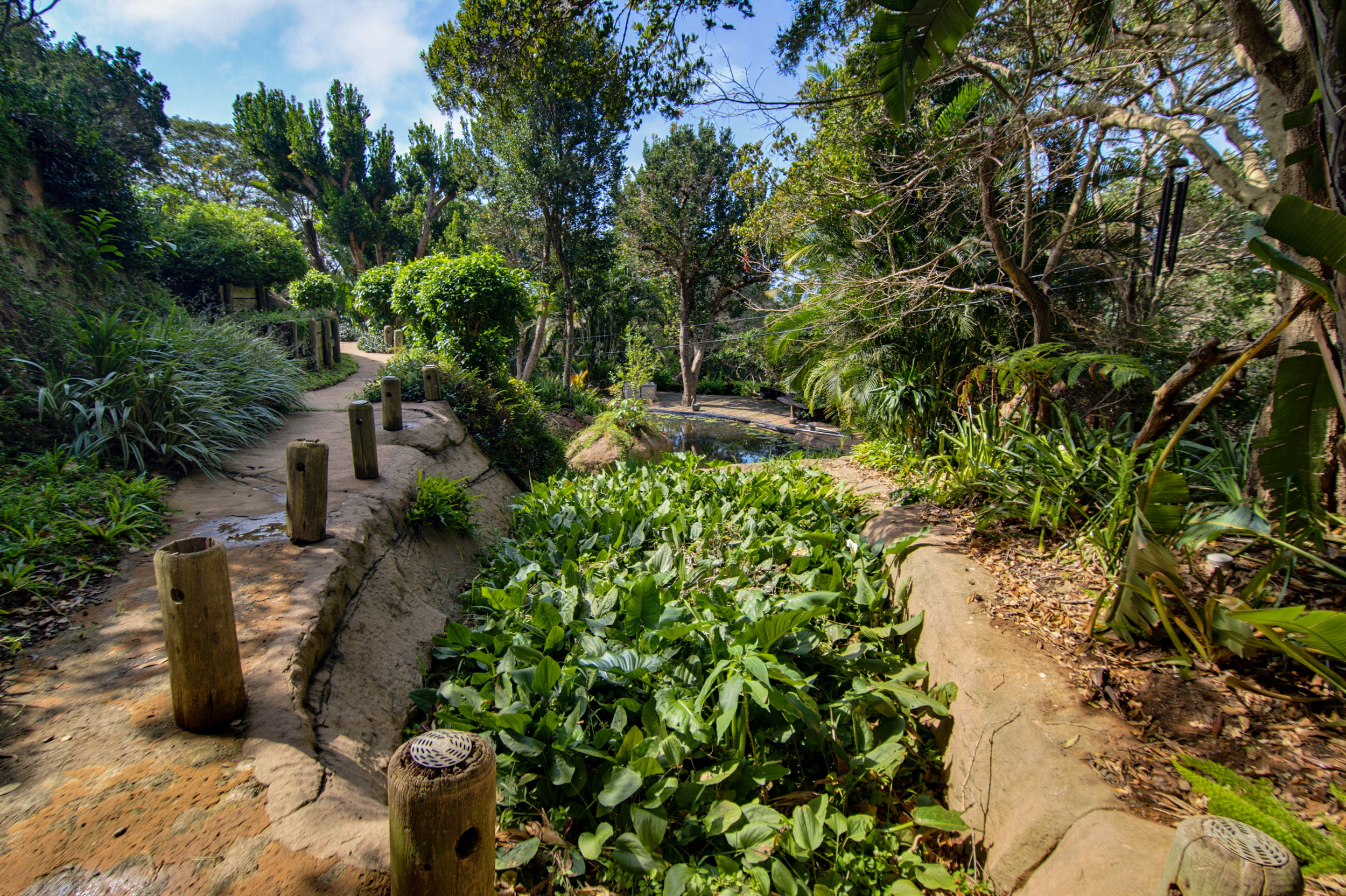  Unparalleled Coastal Living in the Heart of Ballito - 物件實景