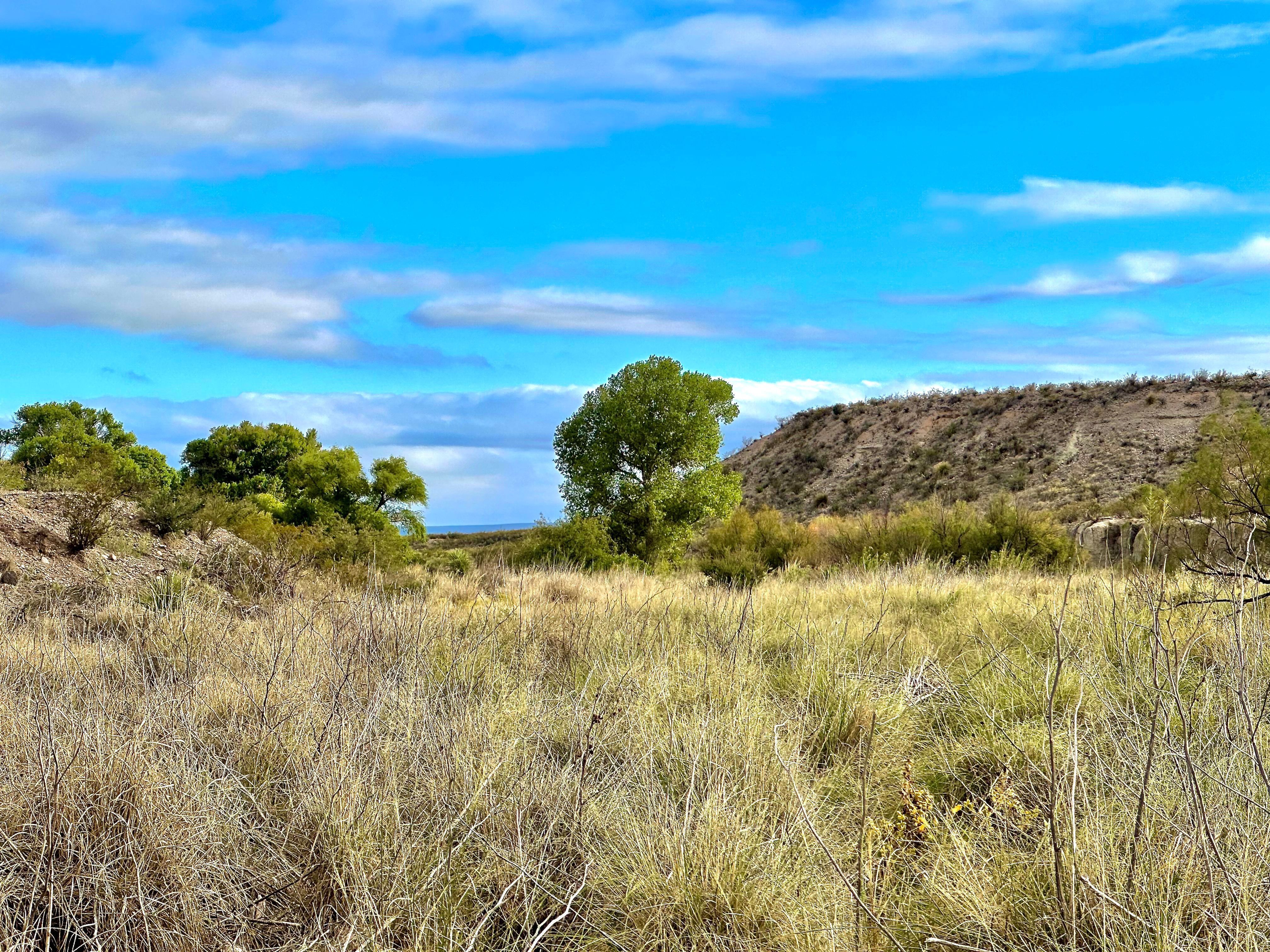  The Alamito Ranch in Presidio County - 物件實景