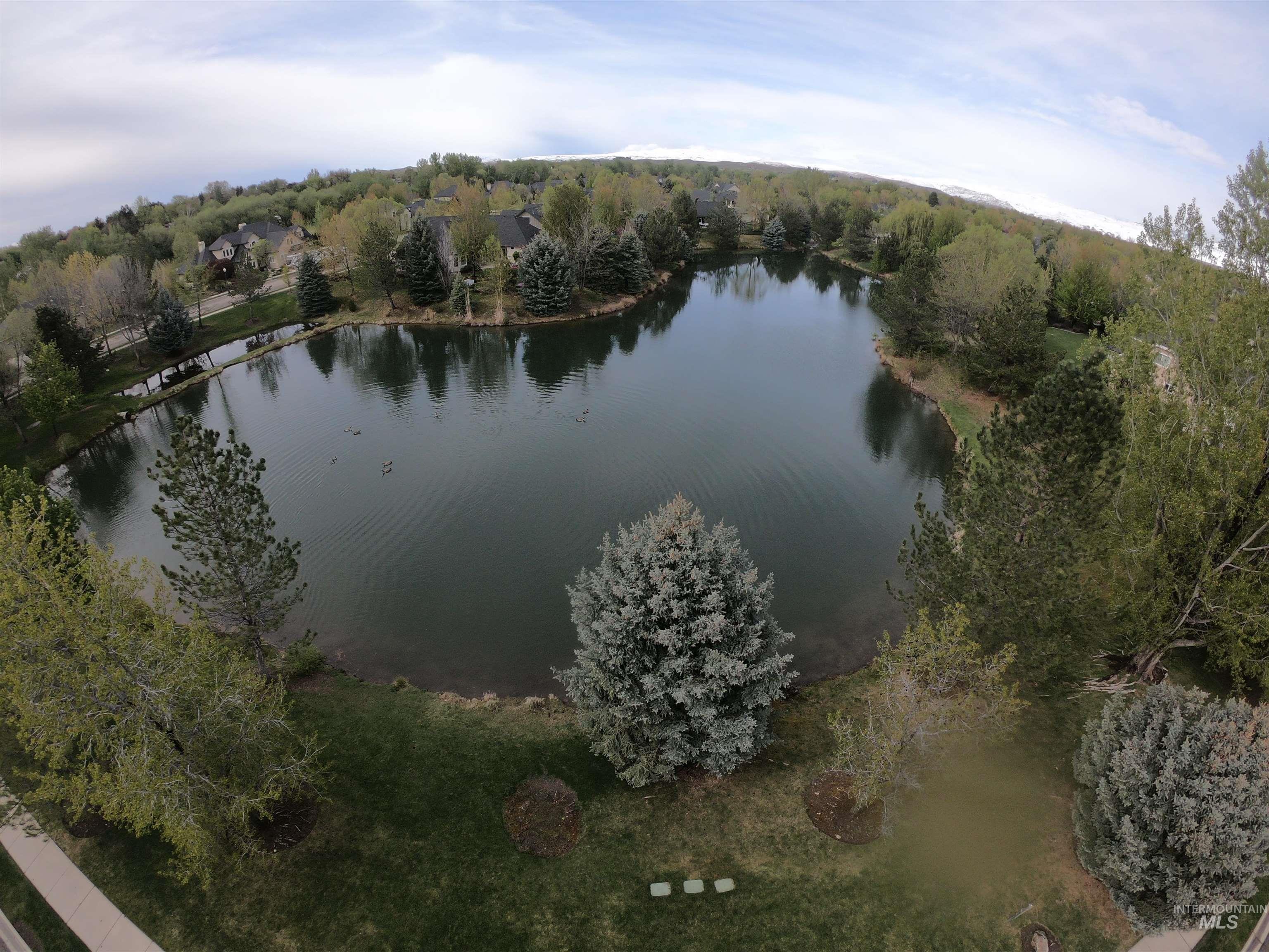 973 N Grey Pebble Way, Eagle, Idaho, 83616, United States, 5 Bedrooms Bedrooms, ,4 BathroomsBathrooms,Residential,For Sale,973 N Grey Pebble Way,1616234