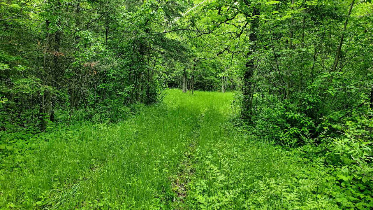 Iron River, Wisconsin, 54847, United States, 4 Bedrooms Bedrooms, ,Residential,For Sale,1940771