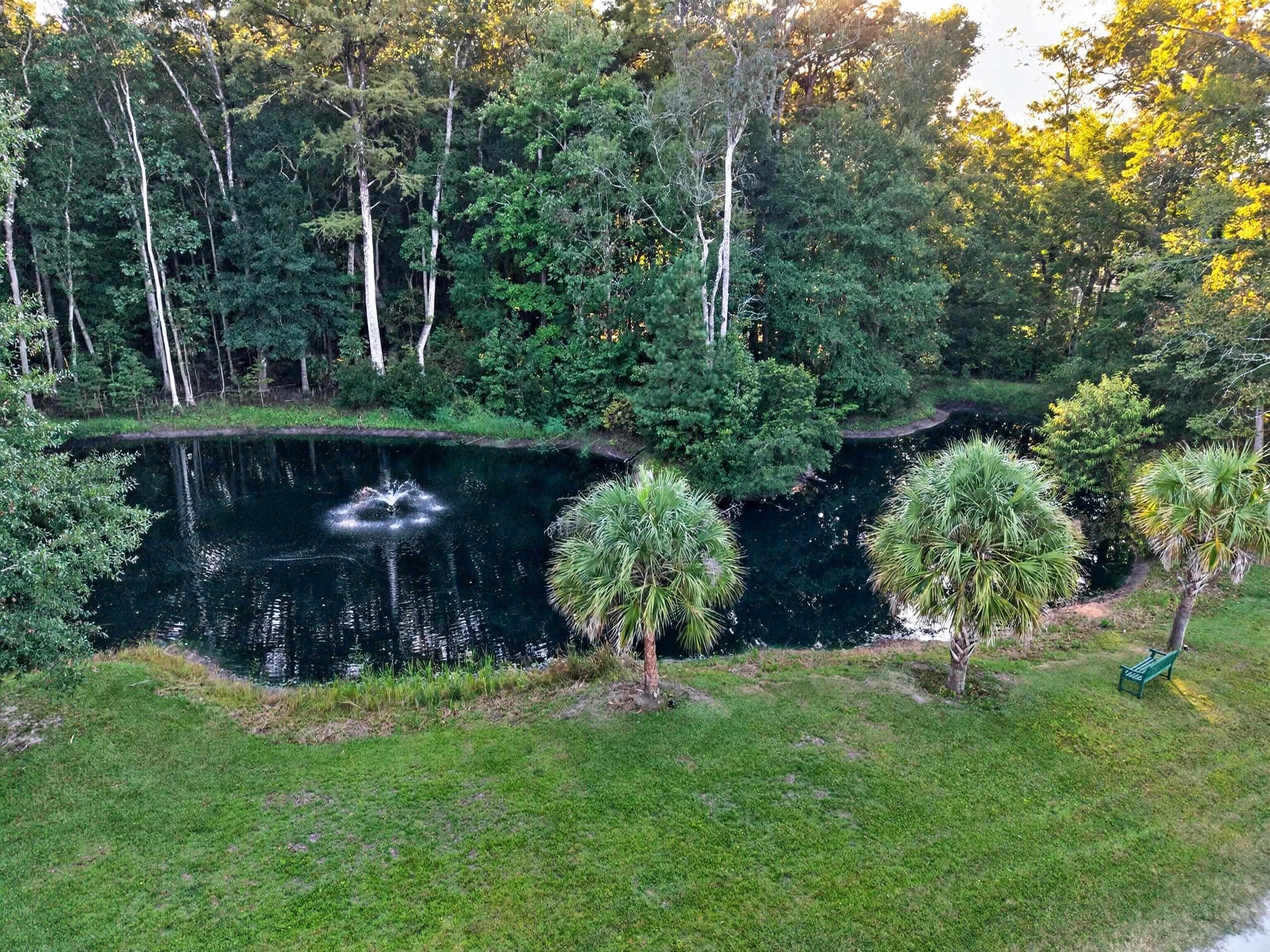  5299 Berkeley Court  Equestrian Property in Murrells Inlet, SC - 物件實景