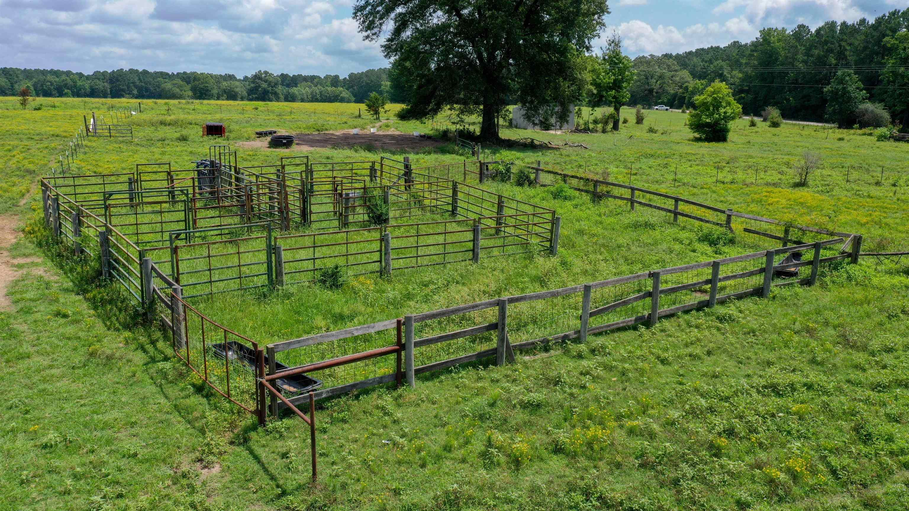 Linden, Texas, 75563, United States, ,Land,For Sale,1975448