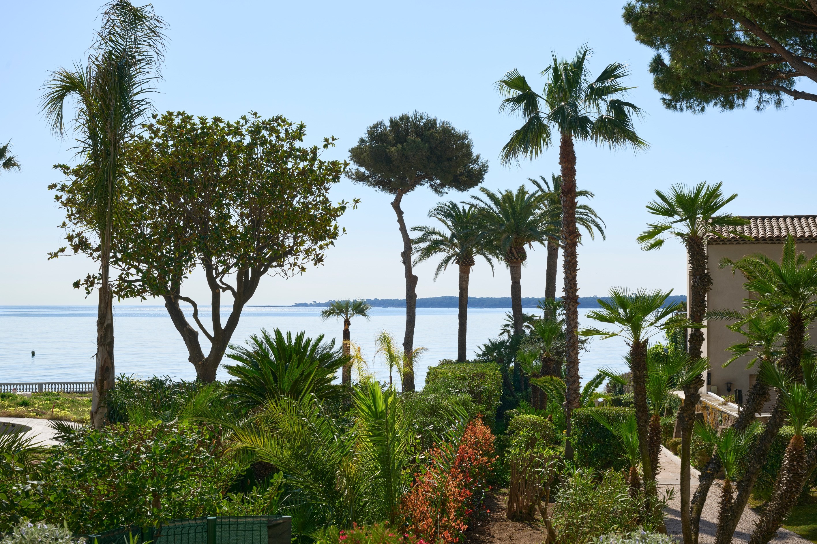  Cannes Palm Beach seafront apartment with large terrace and direct beach access - 物件實景