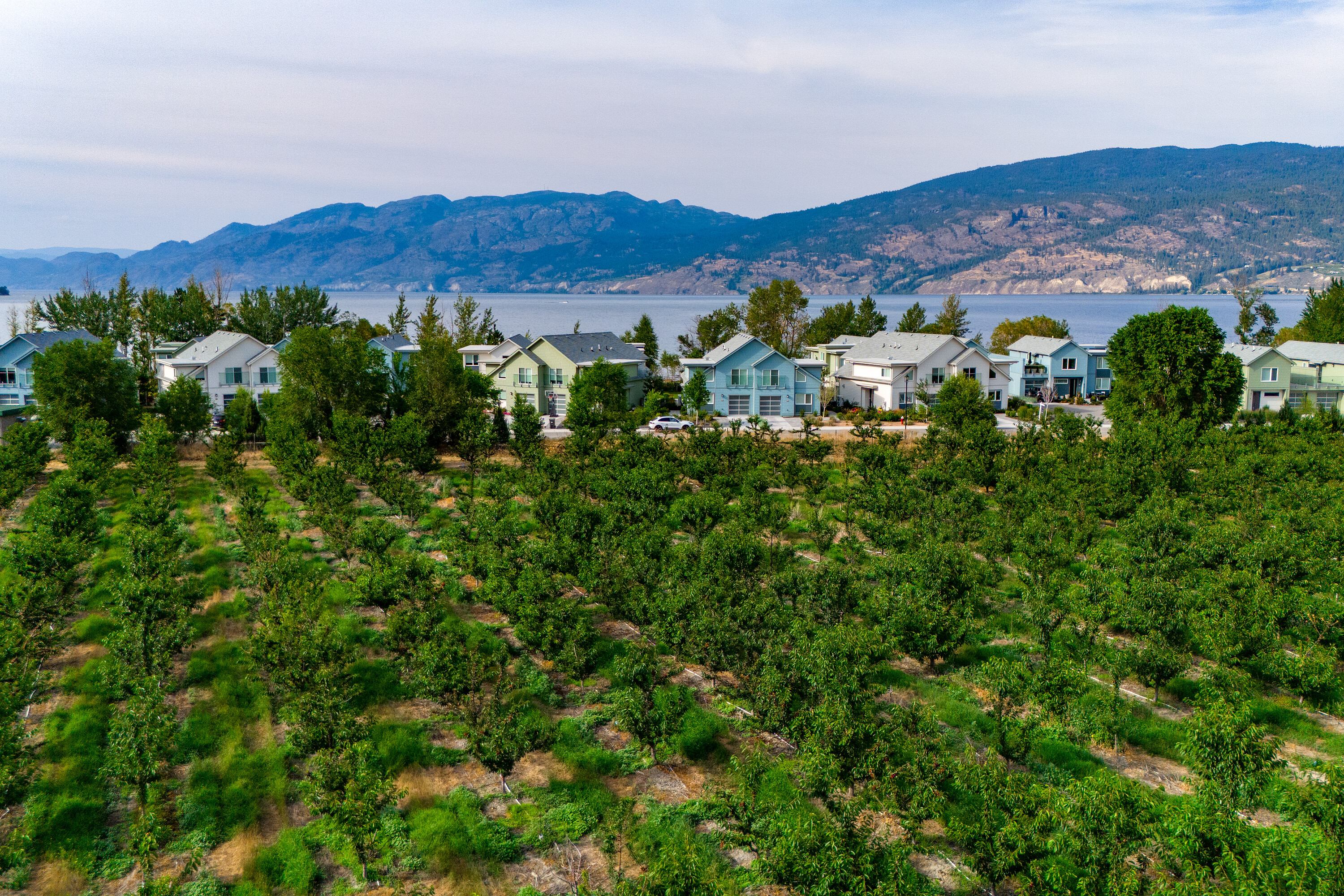  Cherry Orchard Foreclosure - 物件實景