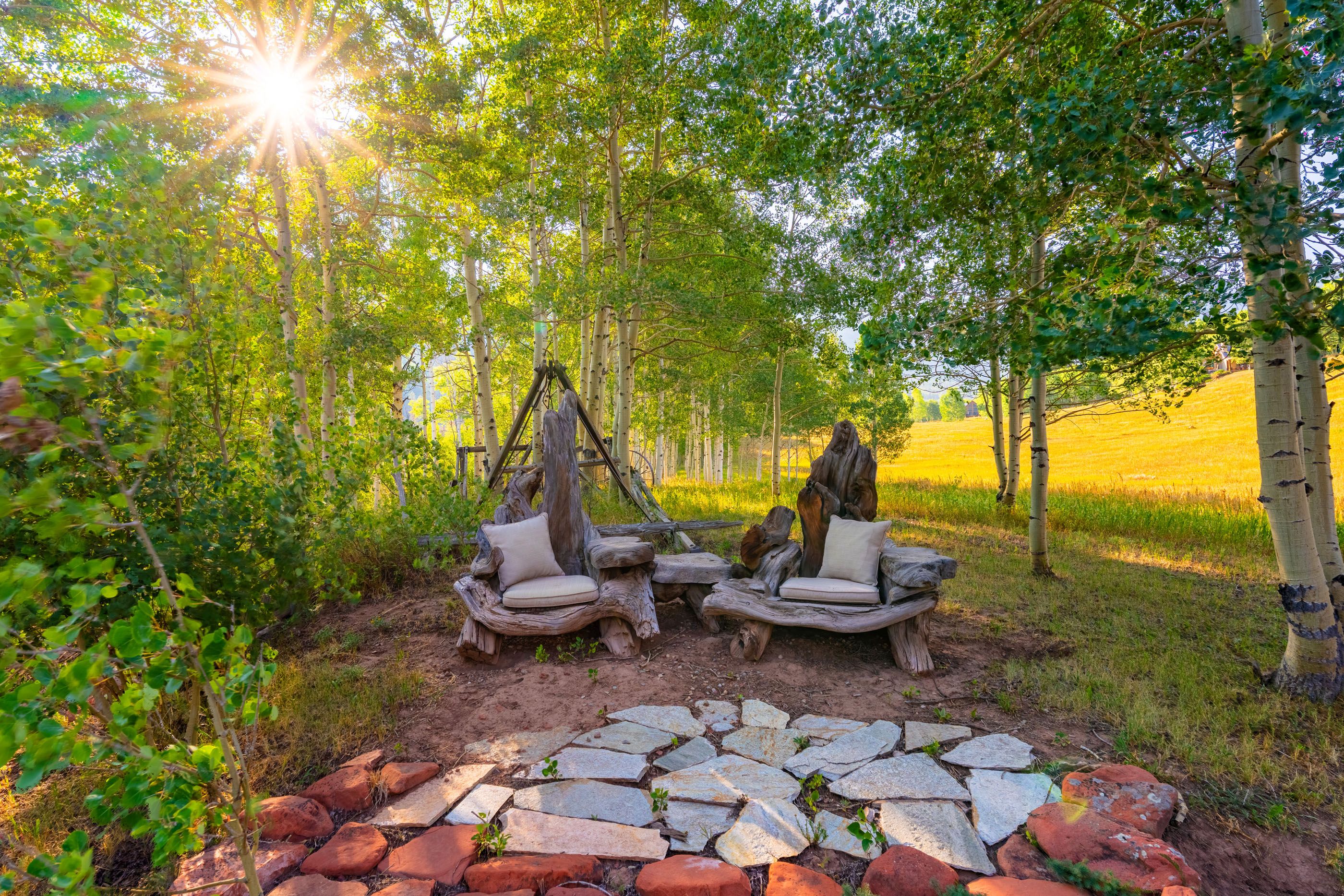  294 Ruedi Creek Road, Basalt, CO 81621 - 物件實景