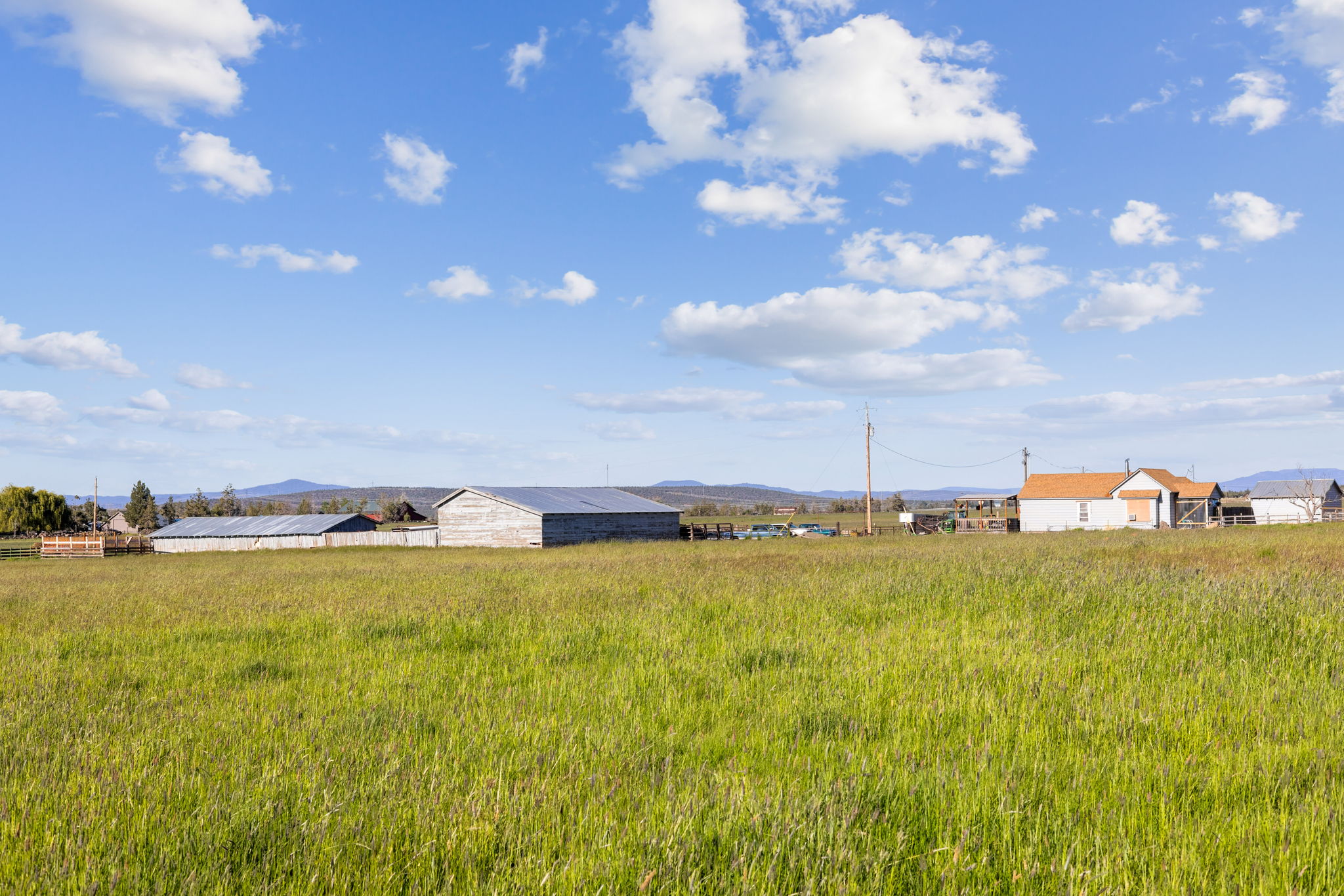 13501 SW Riggs Rd., Powell Butte, Oregon, 97753, United States, 3 Bedrooms Bedrooms, ,4 BathroomsBathrooms,Farm And Agriculture,For Sale,13501 SW Riggs Rd.,1623020