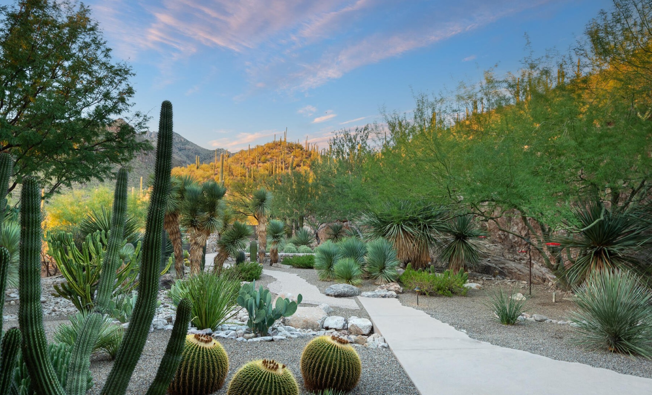  6452 N Rattlesnake Canyon Road ¦ Tucson, AZ - 物件實景