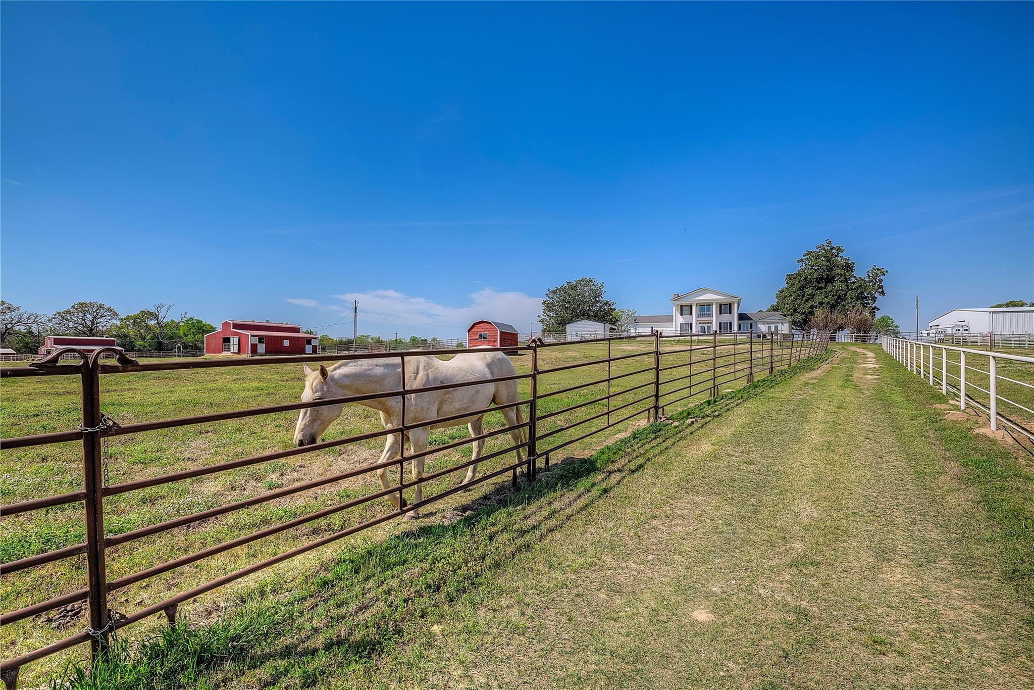 Sulphur Springs, Texas, 75482, United States, 4 Bedrooms Bedrooms, ,3 BathroomsBathrooms,Residential,For Sale,2032755
