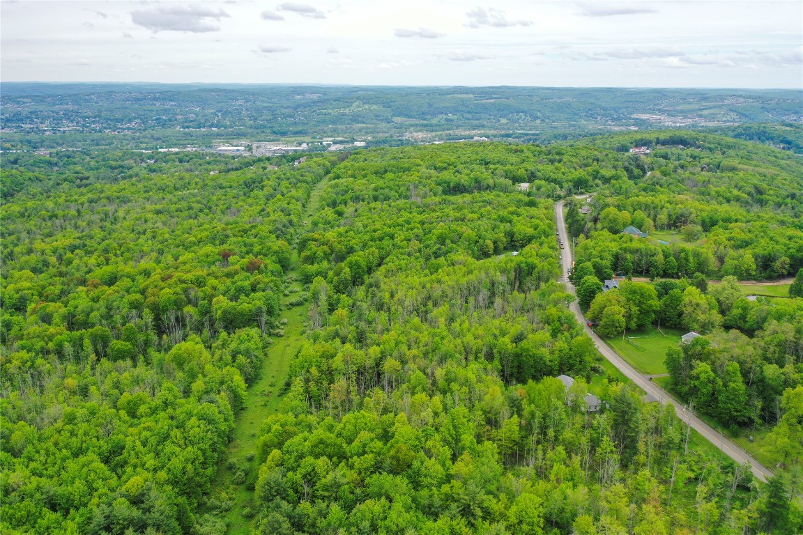 Vestal, New York, 13850, United States, ,Residential,For Sale,1935631